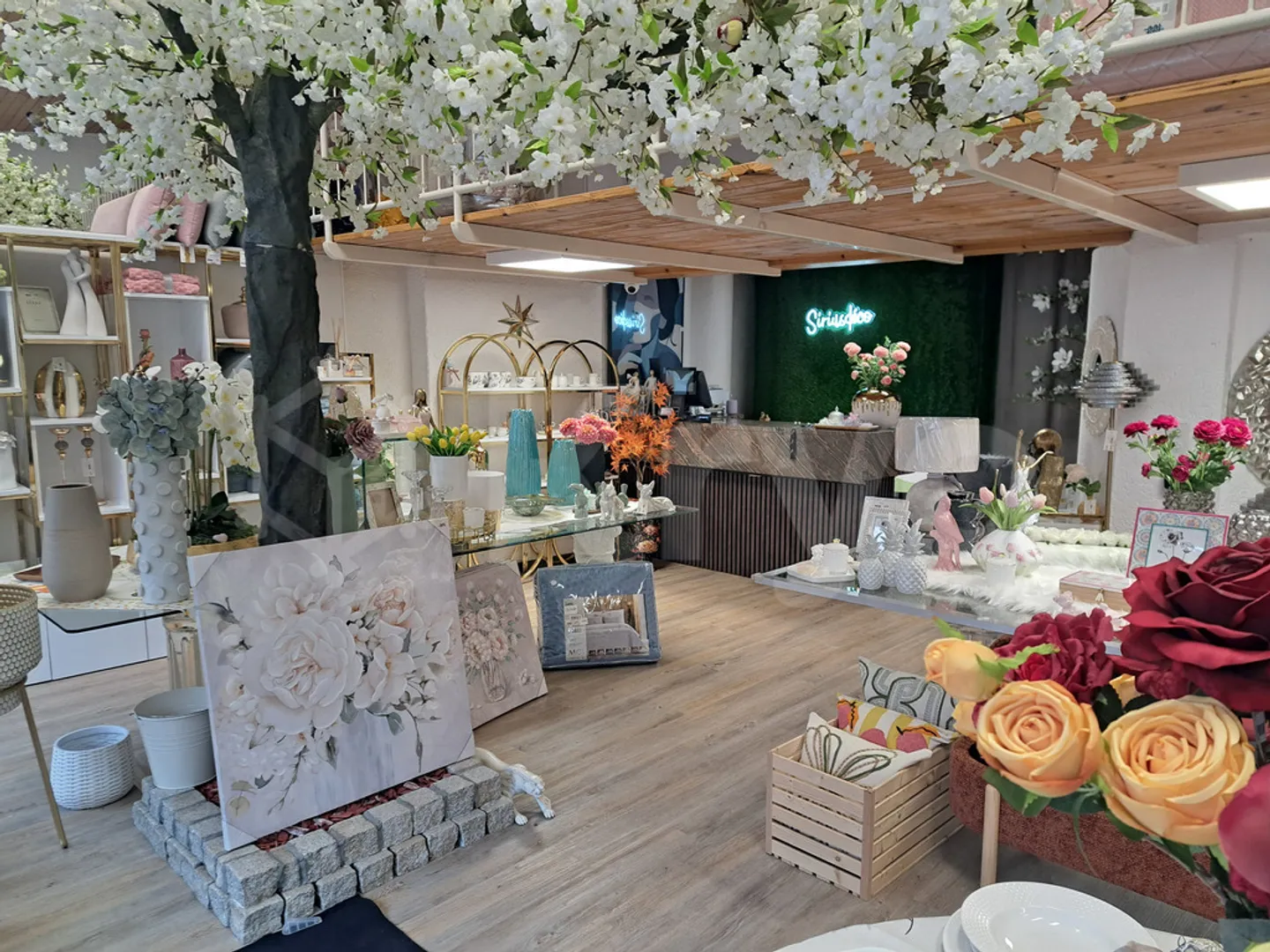 Romont / Altstadt - 80m2 Räumlichkeiten - Foto 2 von 6