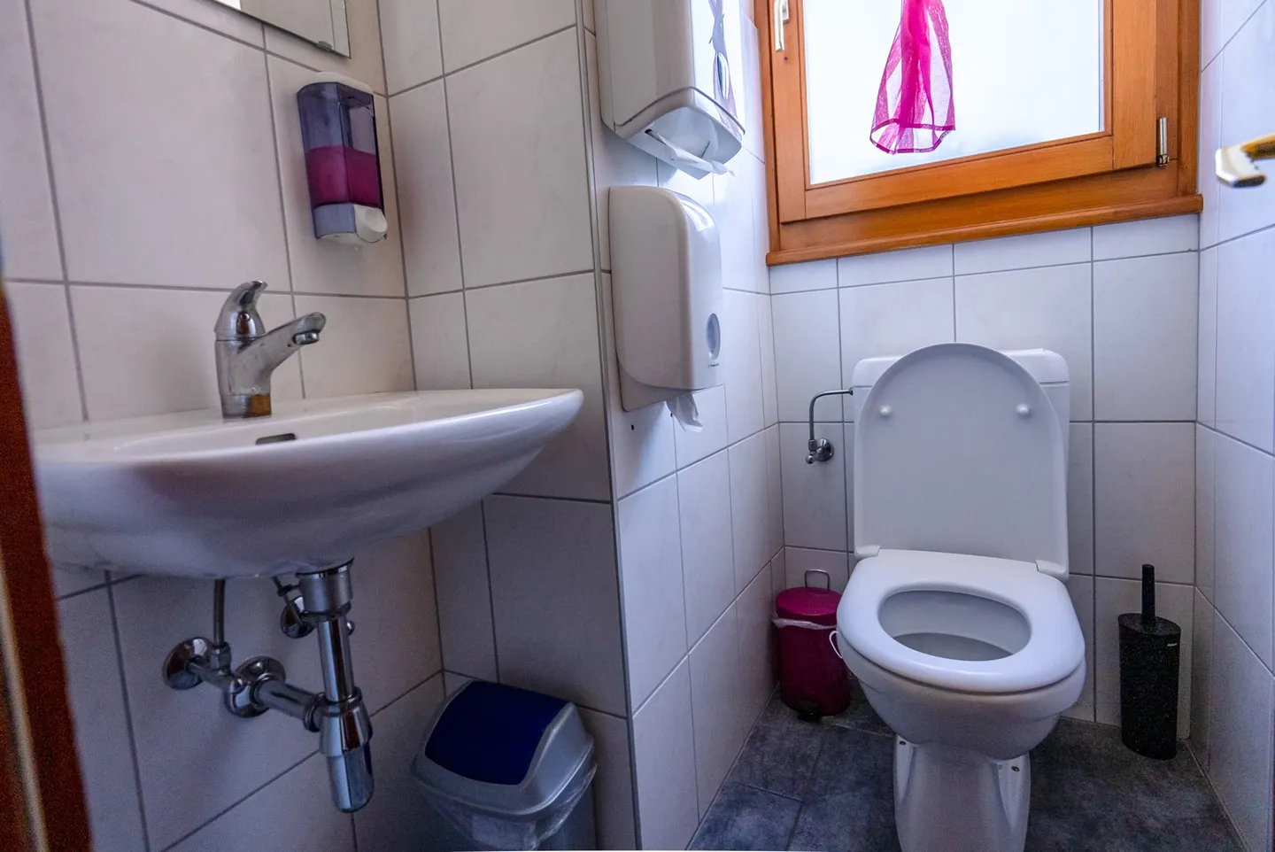 Ristorante Les 3 Dranses in vendita - Foto 10 di 12