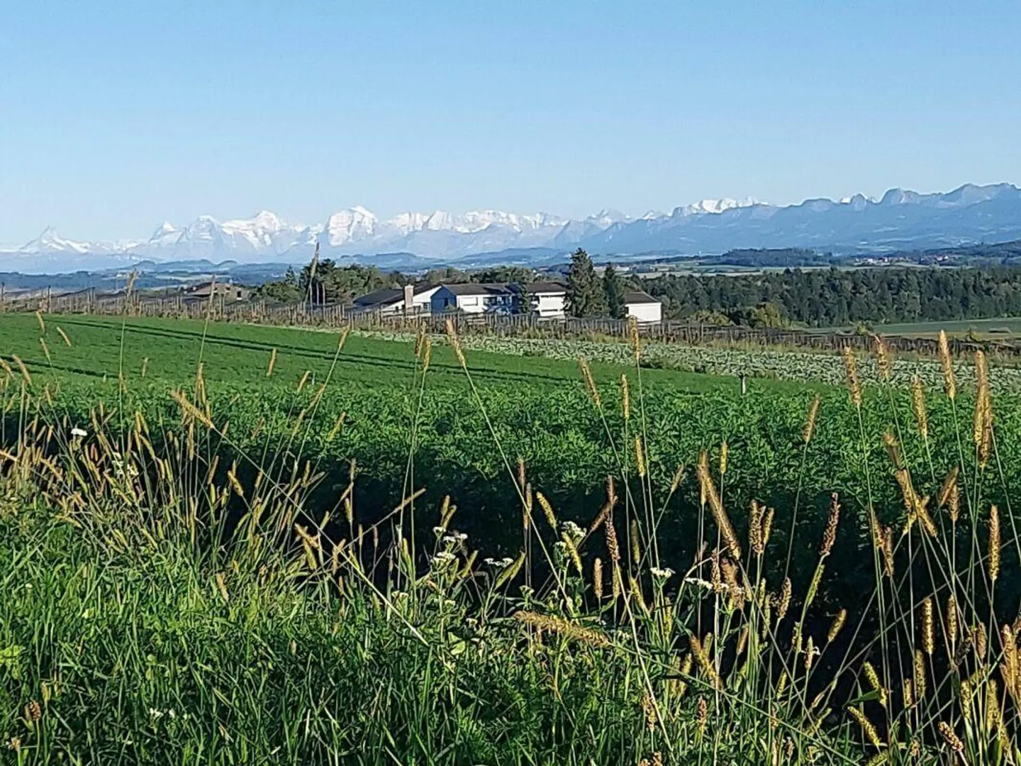Maison avec caractère, vue dégagée et espace pour la créativité - Photo 14 sur 14