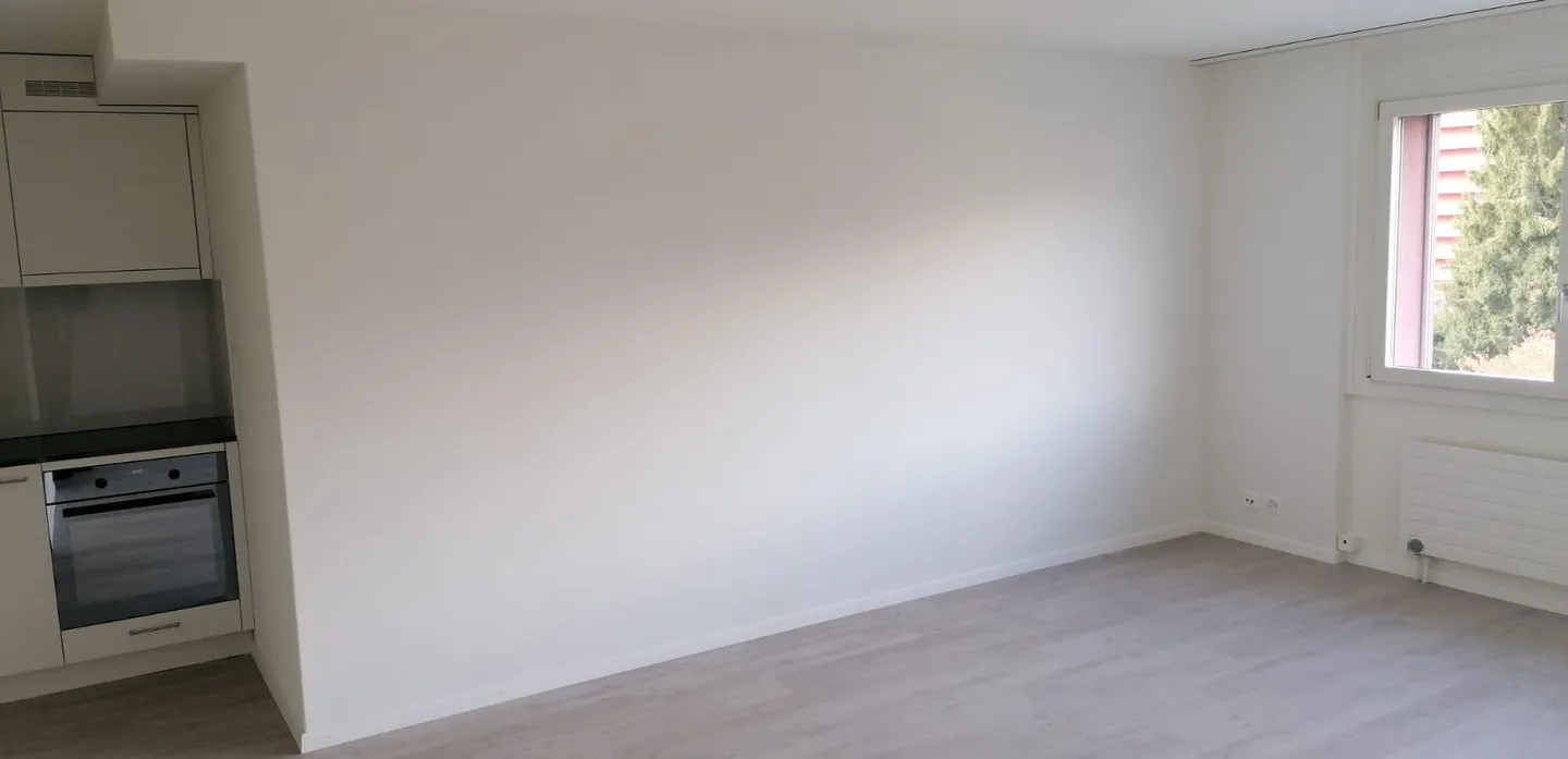 Appartement 1 pièce rénové dans un emplacement calme près de la lisière de la forêt - Photo 5 sur 12