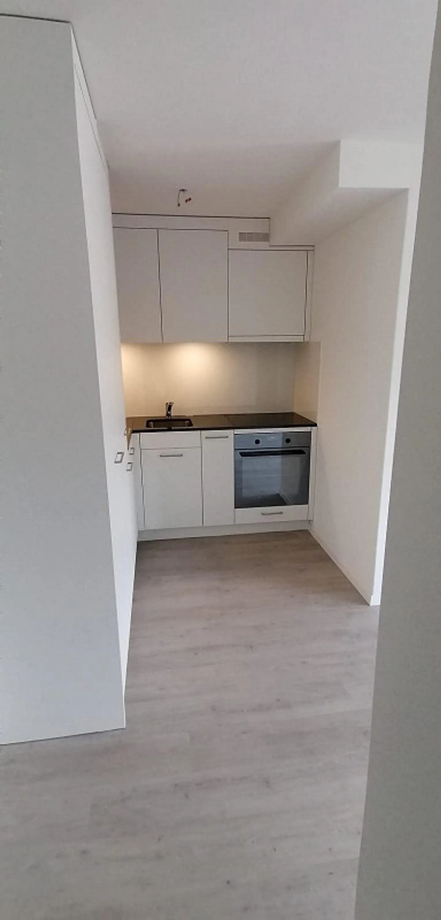 Appartement 1 pièce rénové dans un emplacement calme près de la lisière de la forêt - Photo 4 sur 12