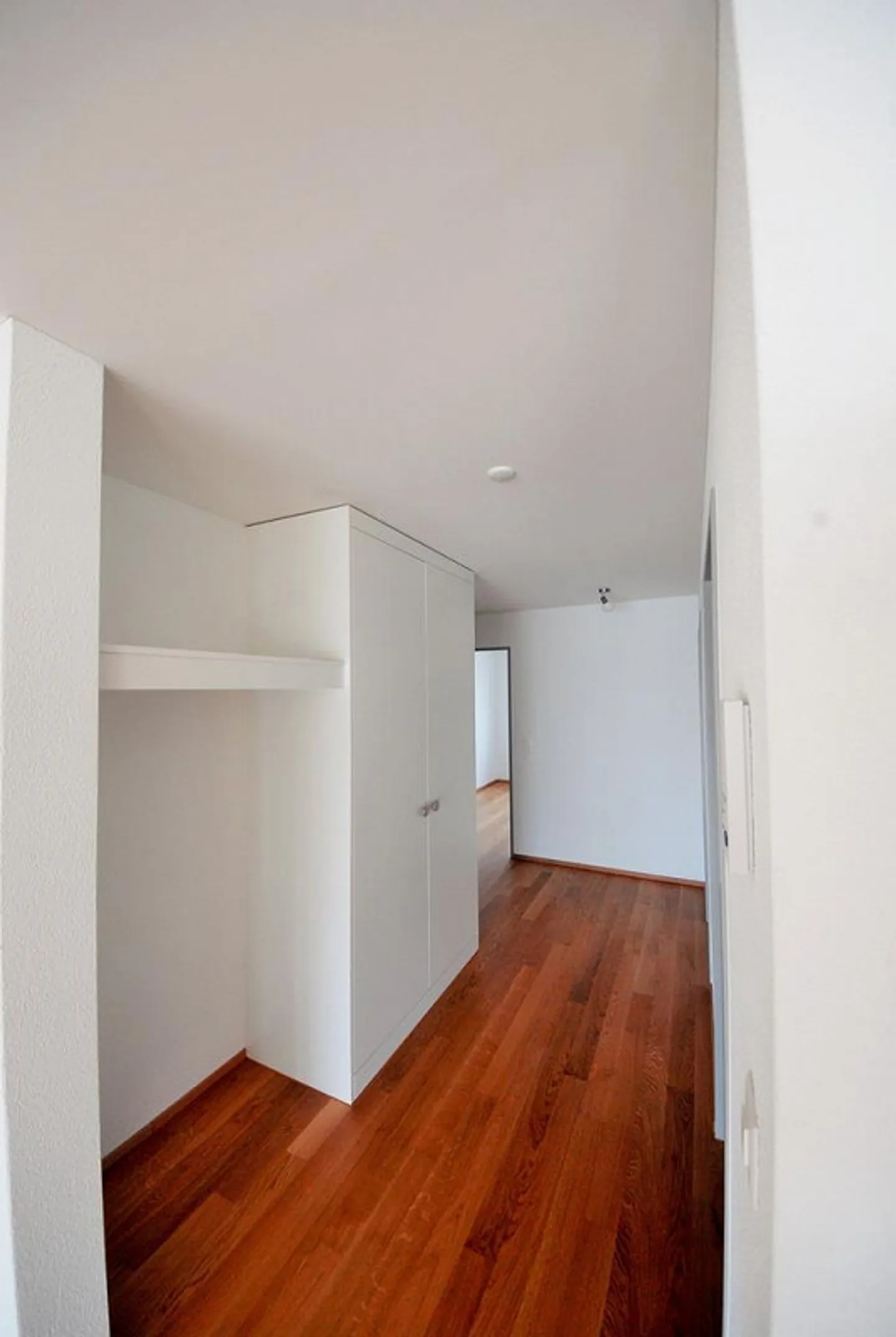 Spacious and Modern Expansion - Photo 8 of 11