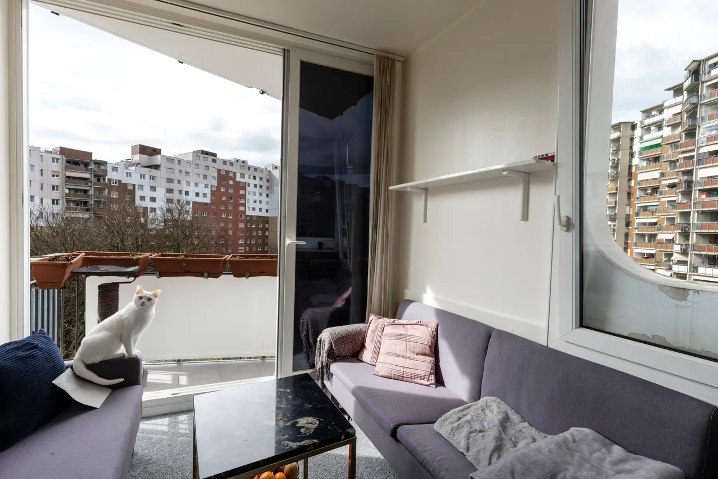 6,5-Zimmer-Durchgangwohnung - Foto 3 von 11