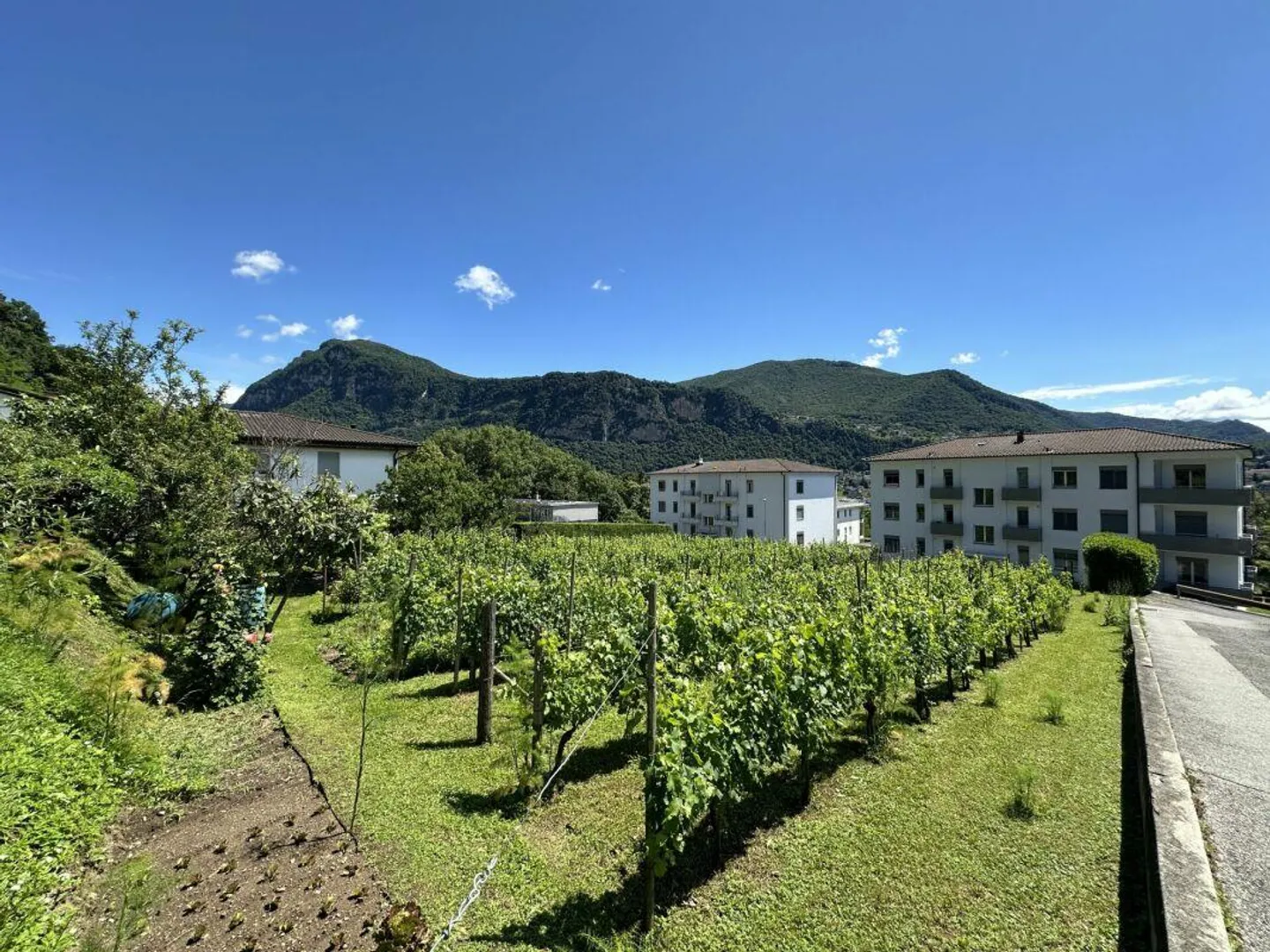 Vente d'un terrain de construction intéressant de 1902 m², dans un emplacement ensoleillé et central - Photo 4 sur 4