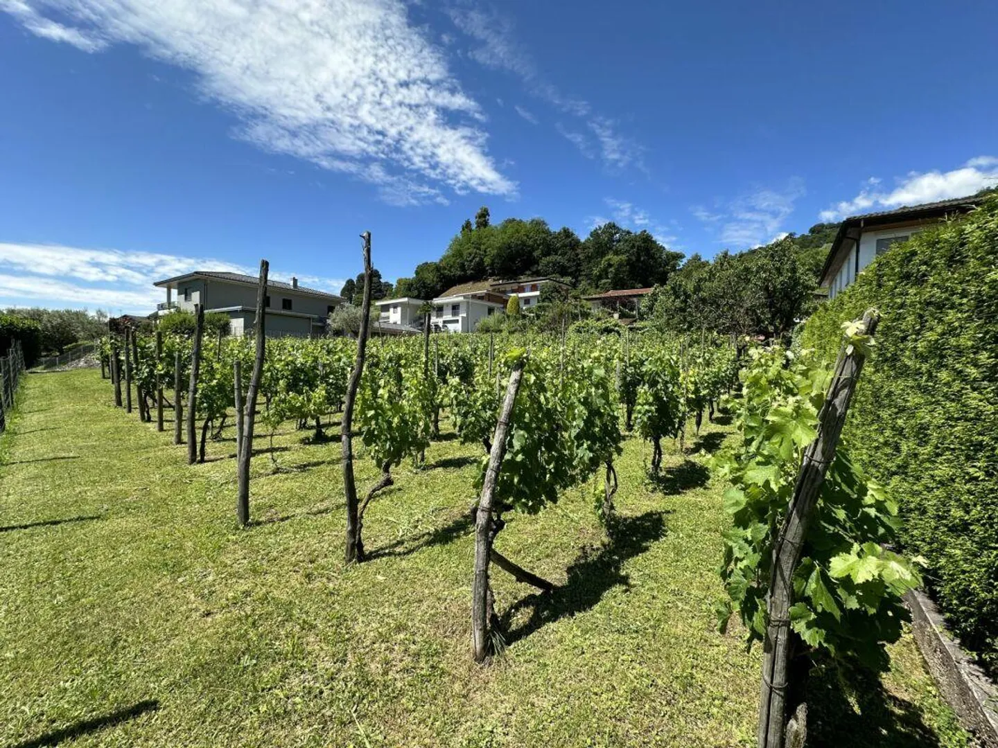 Vente d'un terrain de construction intéressant de 1902 m², dans un emplacement ensoleillé et central - Photo 2 sur 4