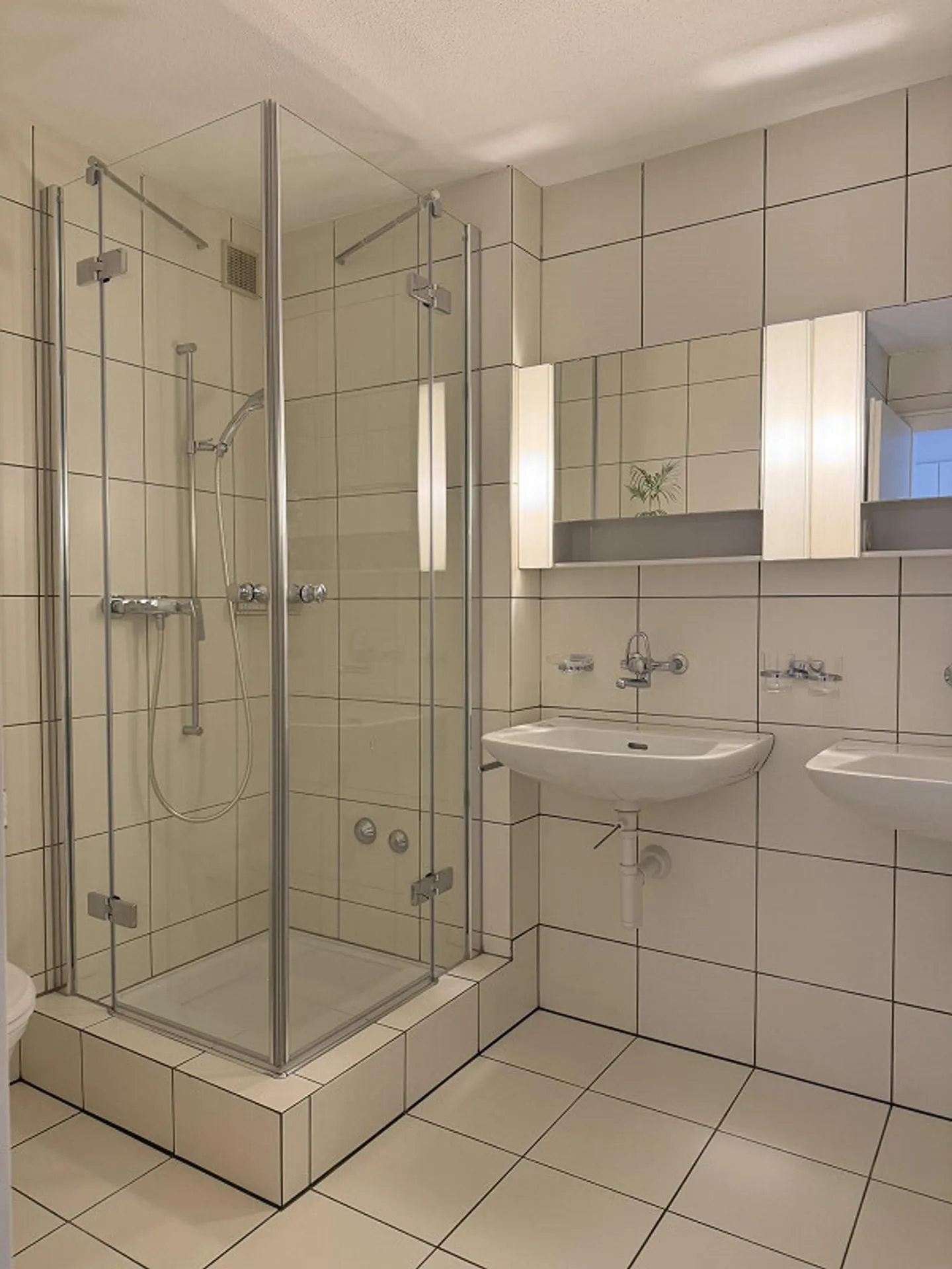 Ruhig gelegene, grosse Wohnung - Foto 10 von 19