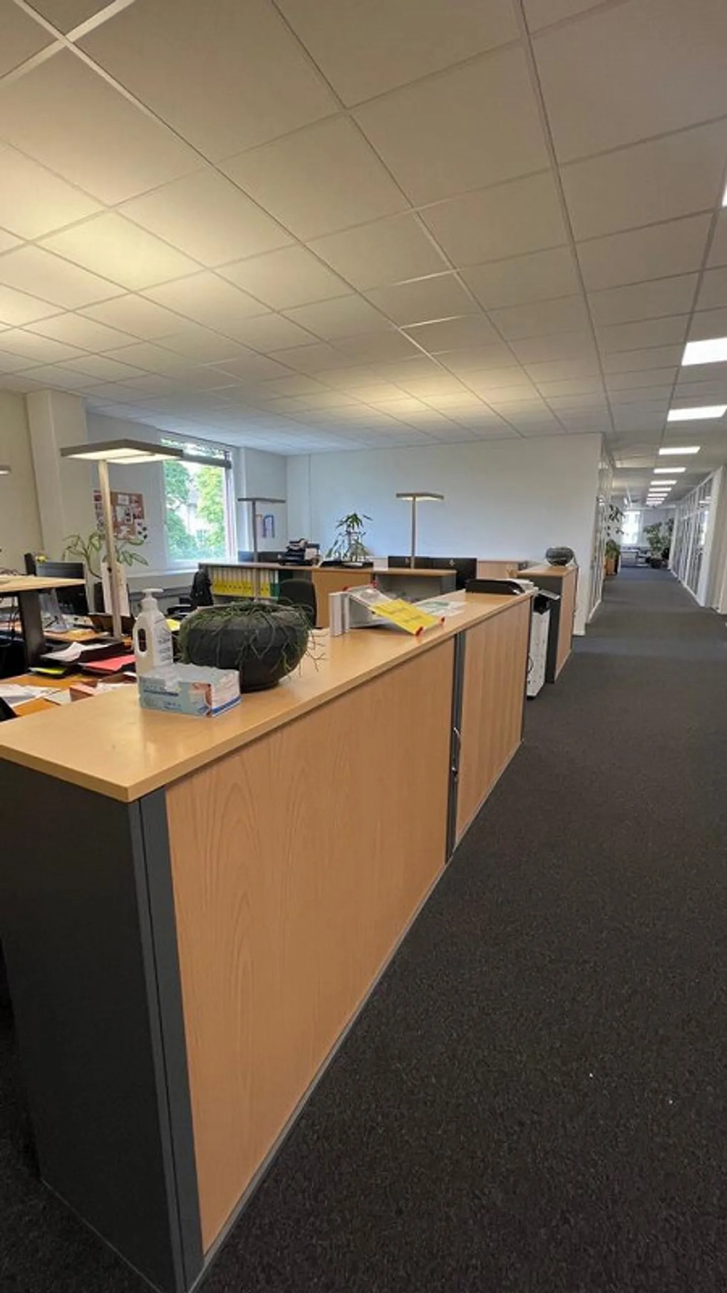 Top developed commercial space in prime location - Photo 6 of 10