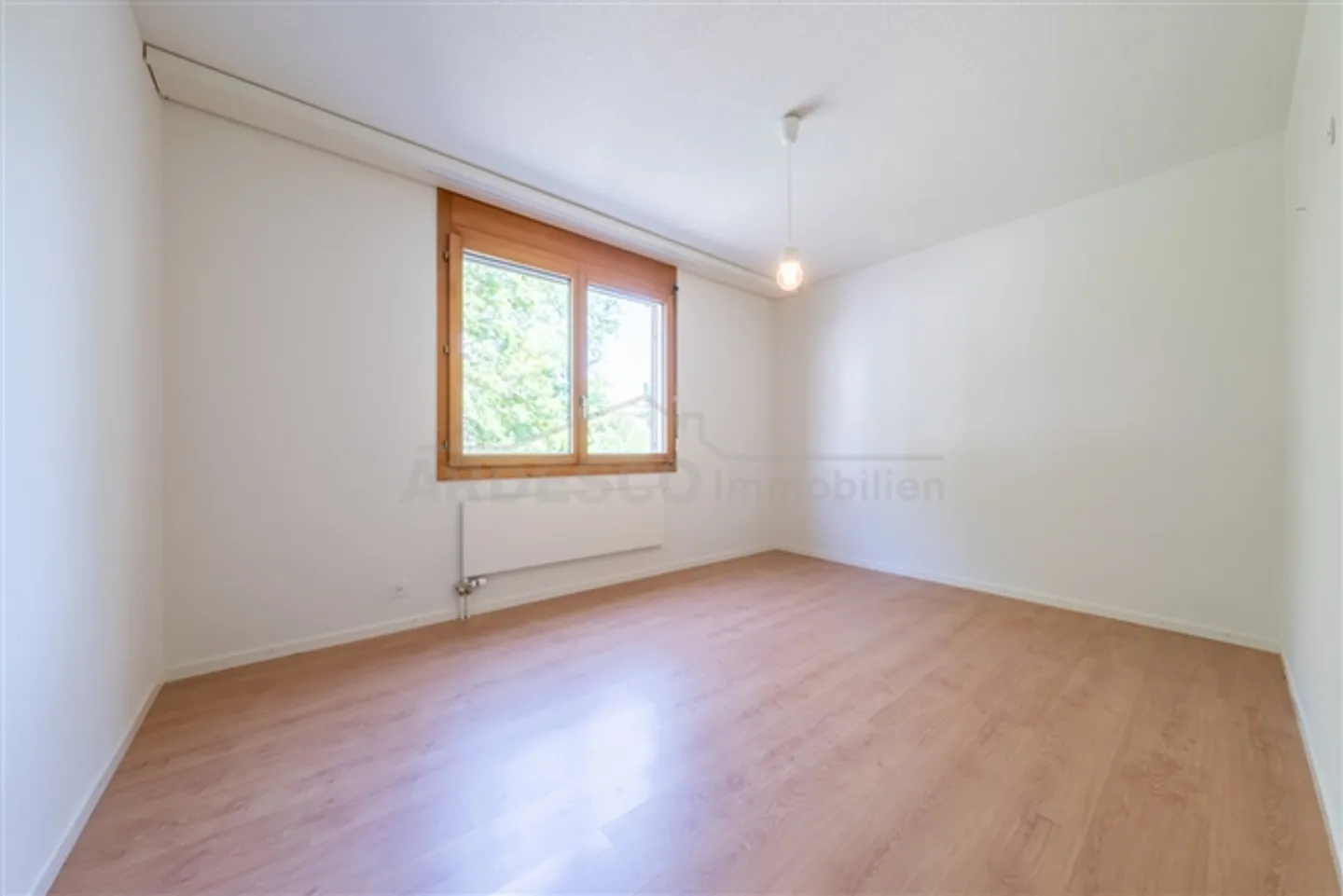 "In the middle!" - Photo 4 of 7