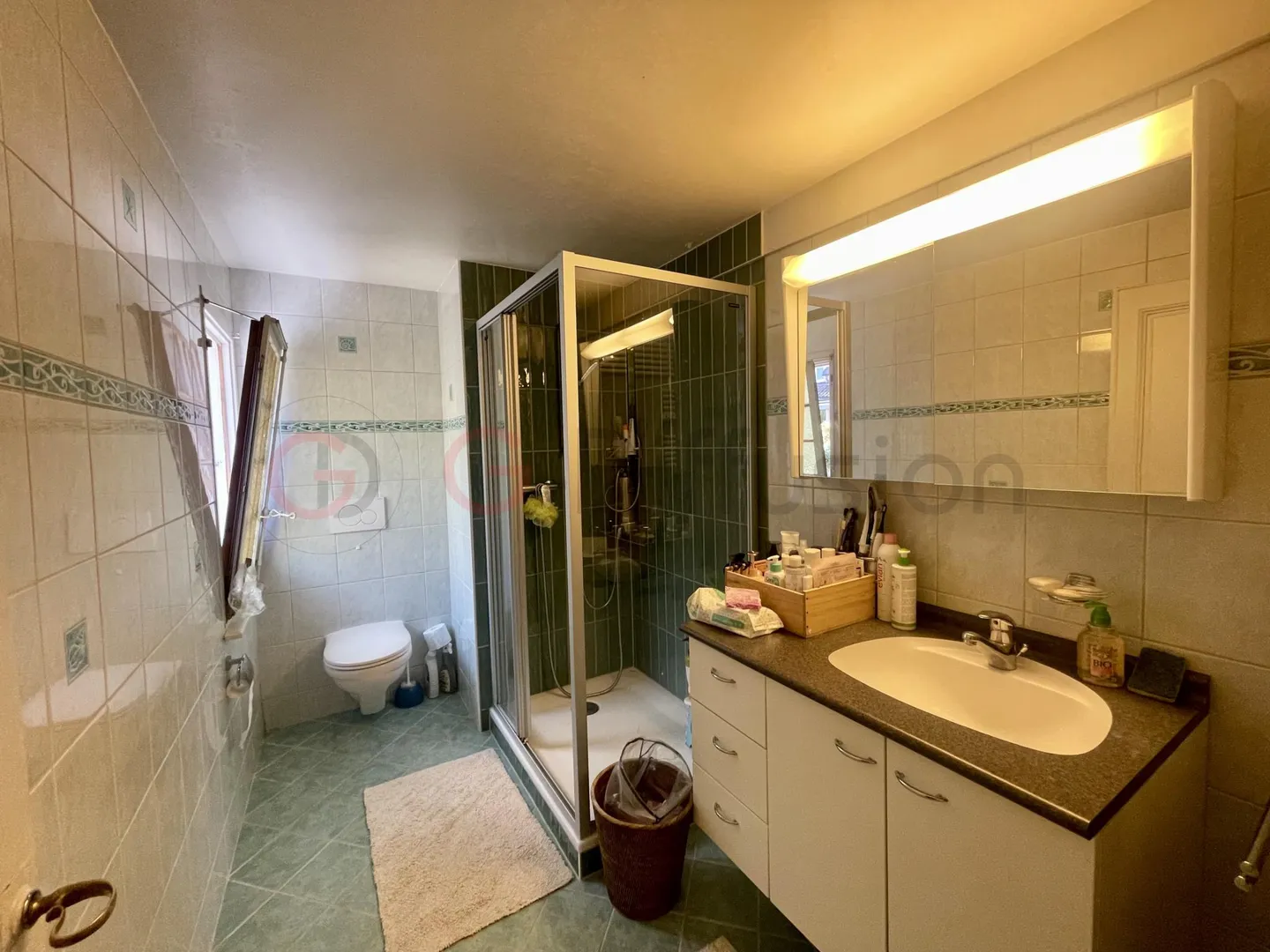 Appartamento eccezionale con vista lago e giardino privato - Come una casa a Veytaux - Foto 22 di 24