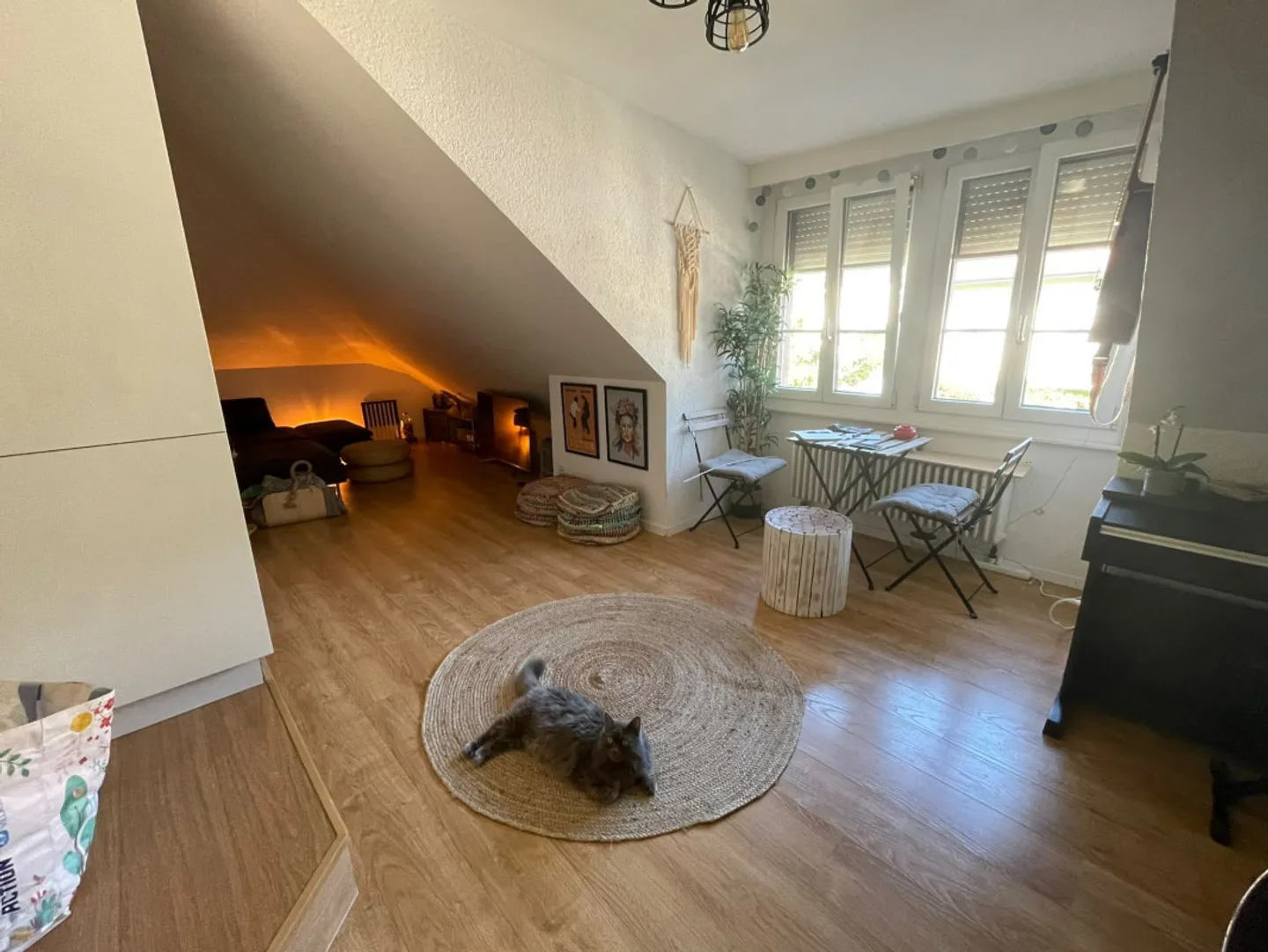 Bright 2.5-Room Apartment - Photo 1 of 12