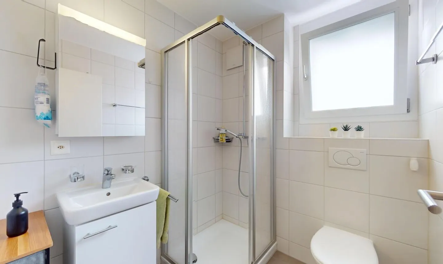 Attique à vendre - Photo 10 sur 11