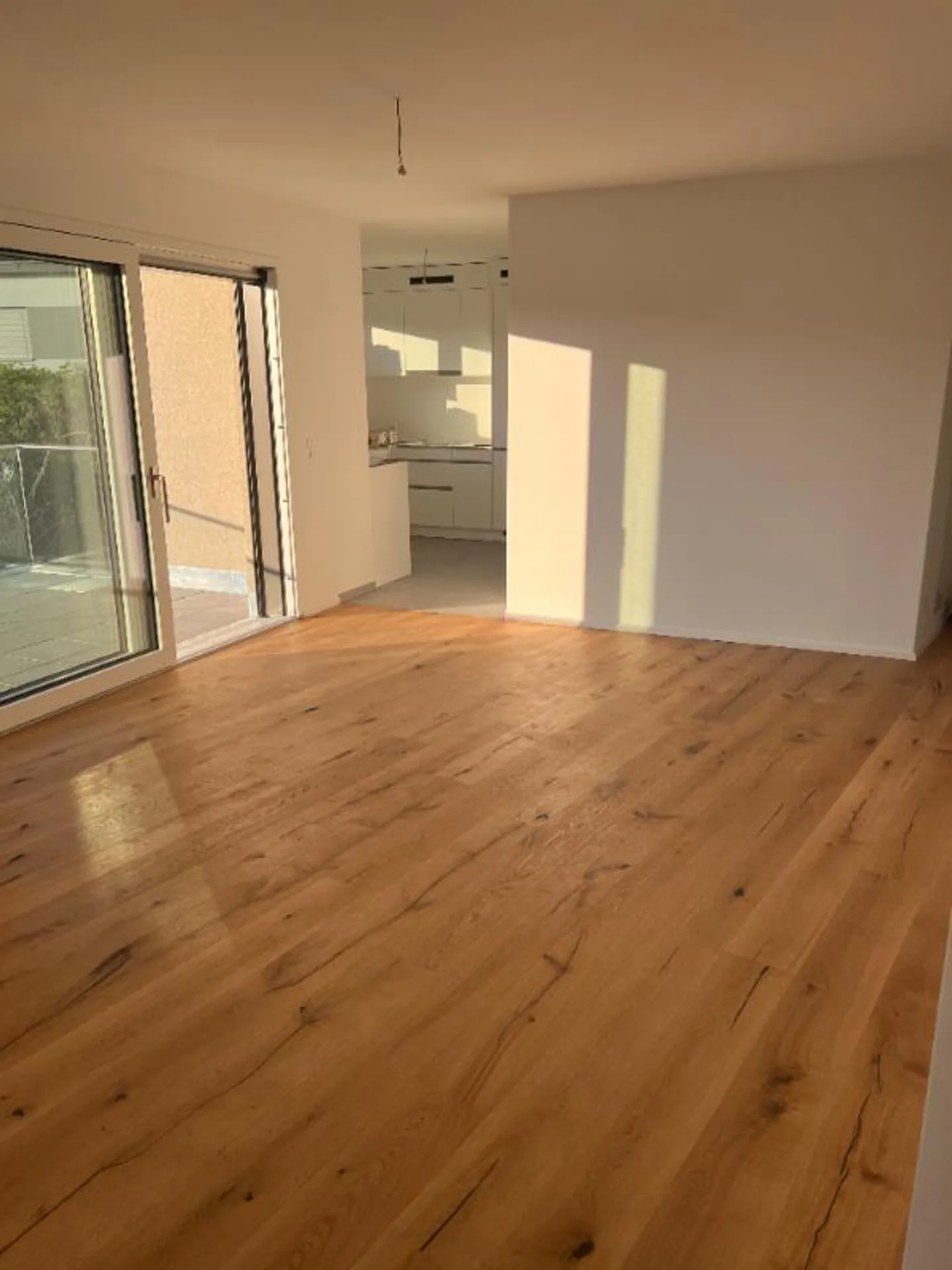 3.5 Room Apartment - Photo 5 of 5