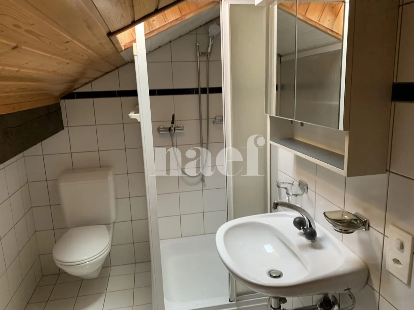 Incantevole appartamento duplex di 3 stanze in mansarda con balcone e vista sulla campagna - Foto 7 di 7
