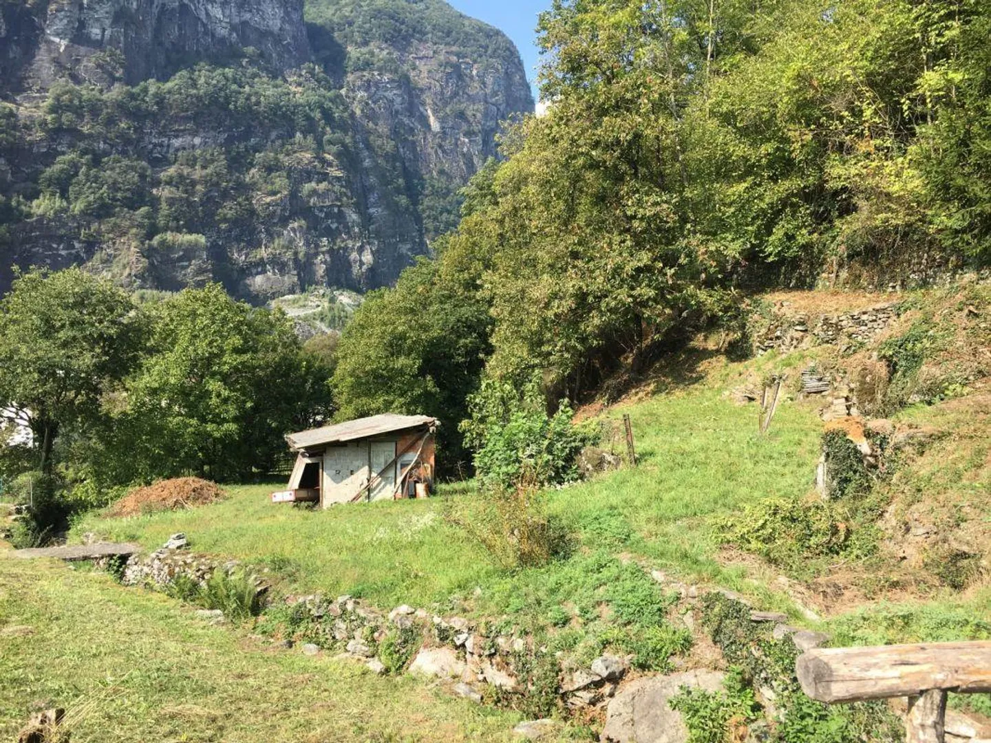 Baugrundstück R3 + Waldgrundstück - Foto 2 von 9
