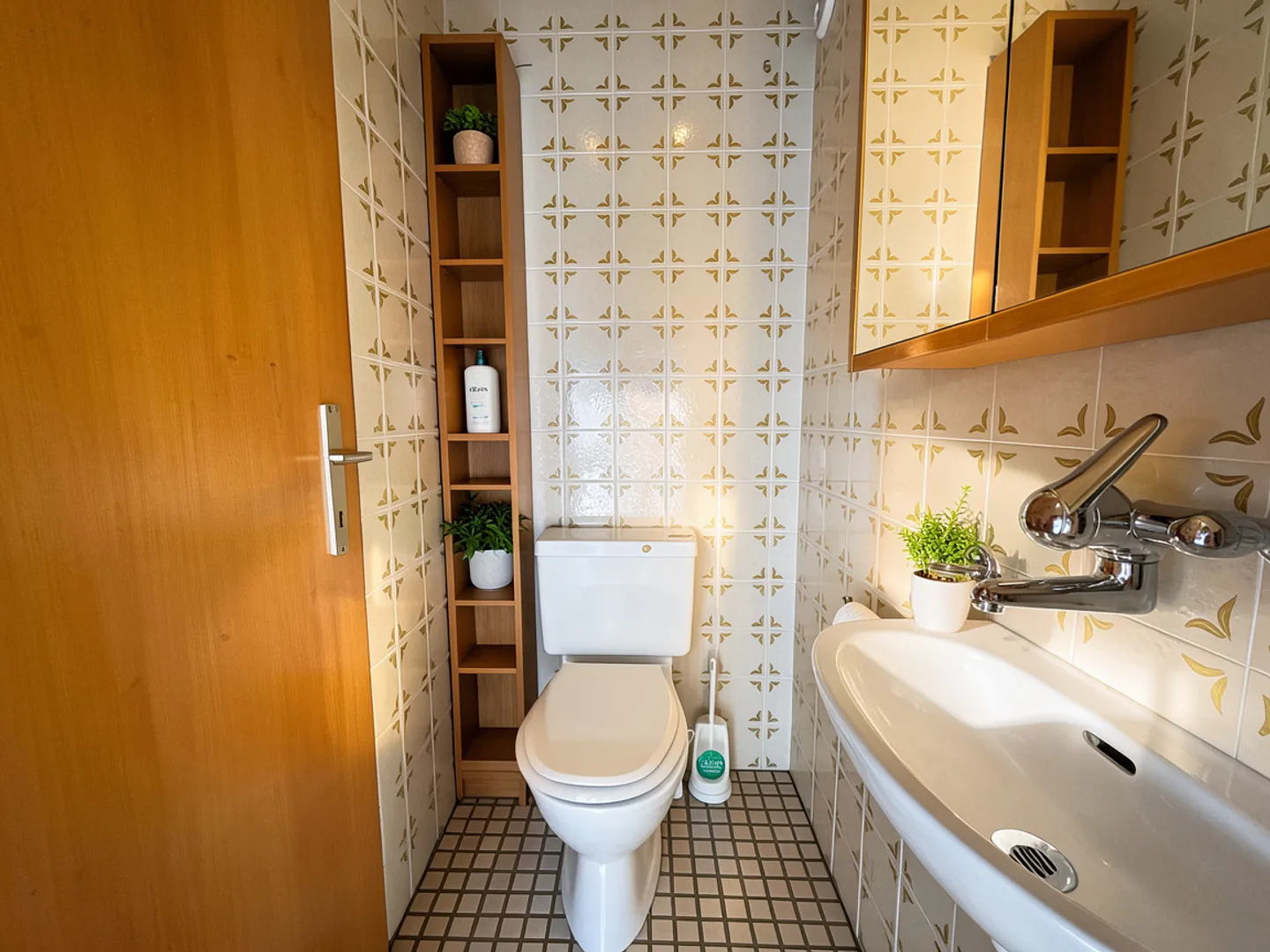 PPE apartment with 2.5 rooms and balcony on the 1st floor with a magnificent view - Photo 9 of 10