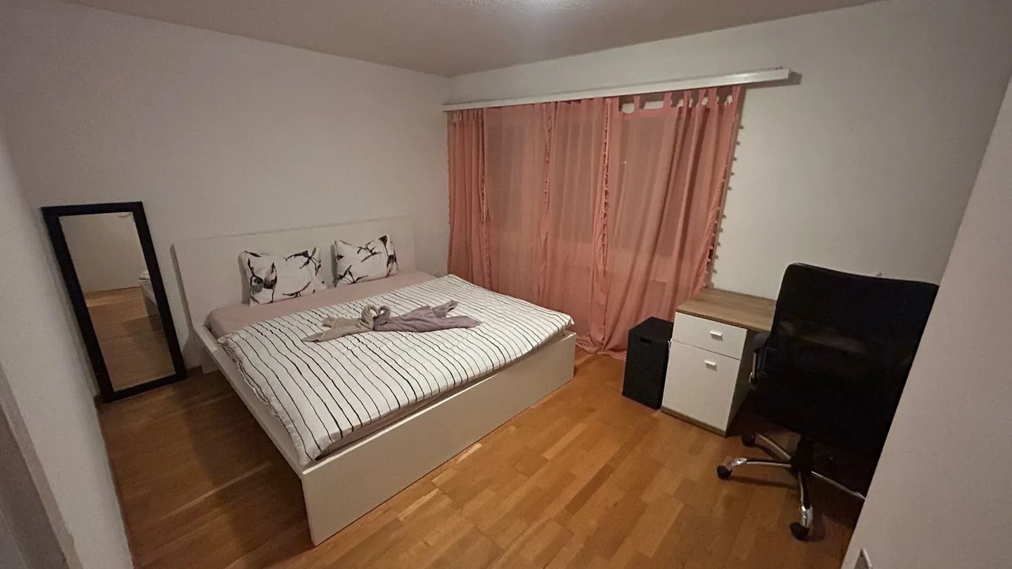 Appartamento moderno e luminoso di 2,5 stanze – Completamente arredato, posizione privilegiata ad Adliswil - Foto 5 di 13