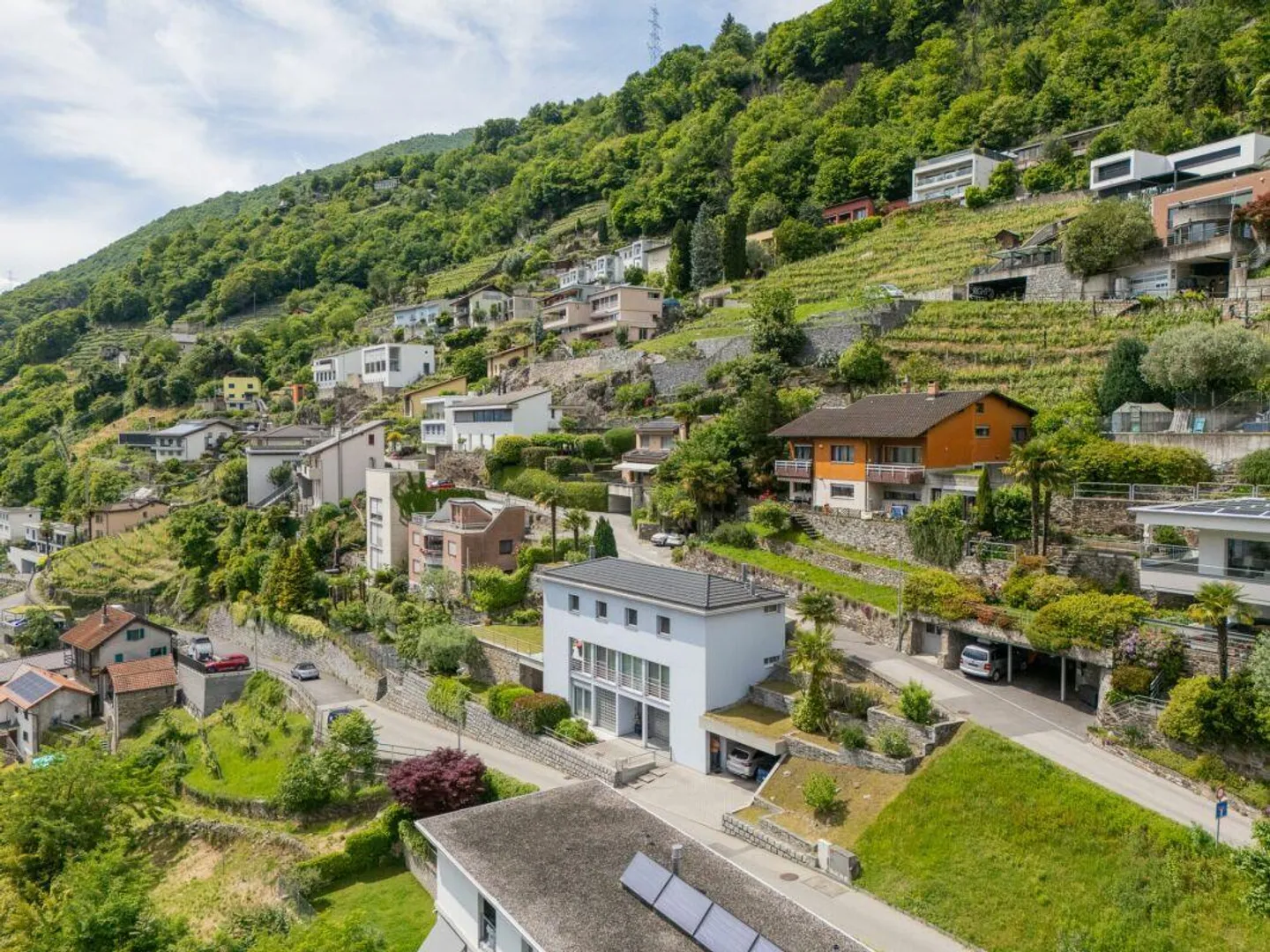 We are selling a beautiful villa in Monte Carasso - Photo 2 of 17