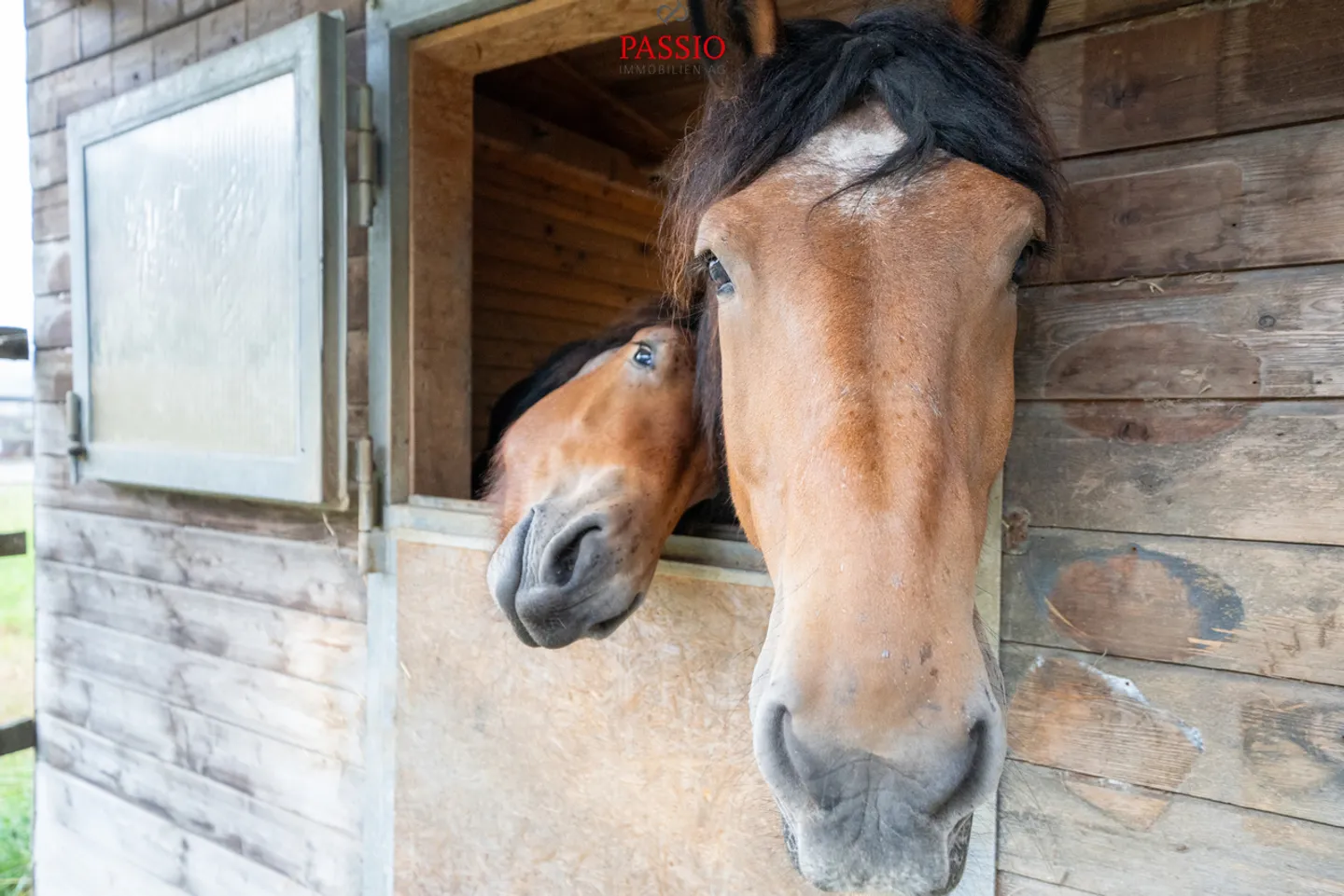 Profitable multi-family house with 4 horse boxes and development potential - Photo 31 of 31