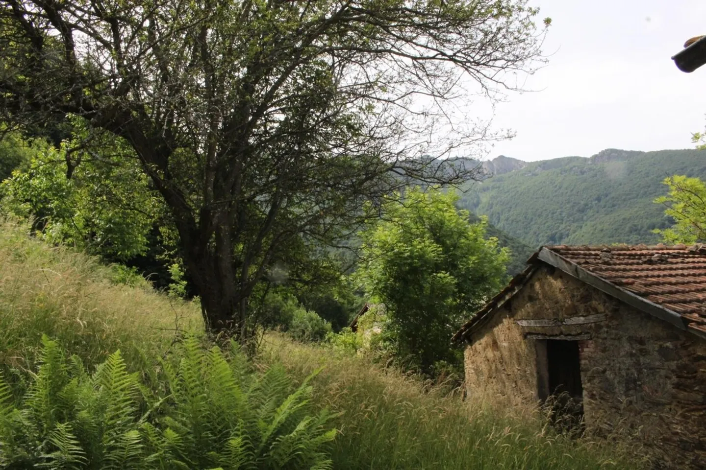 Rustico con Vista Mozzafiato - Foto 12 di 13