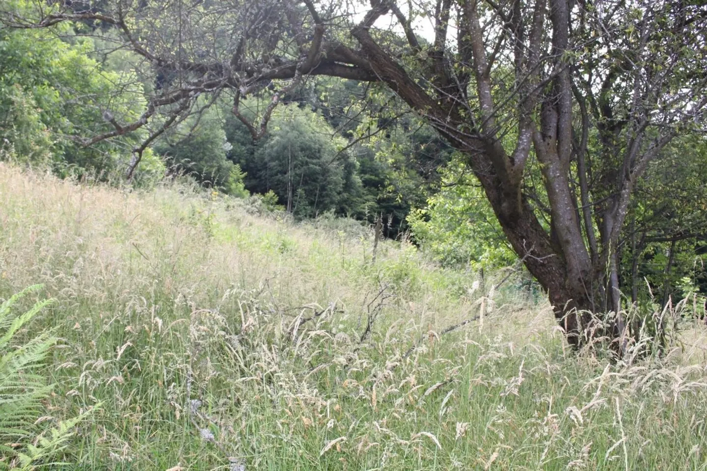 Rustico con Vista Mozzafiato - Foto 13 di 13