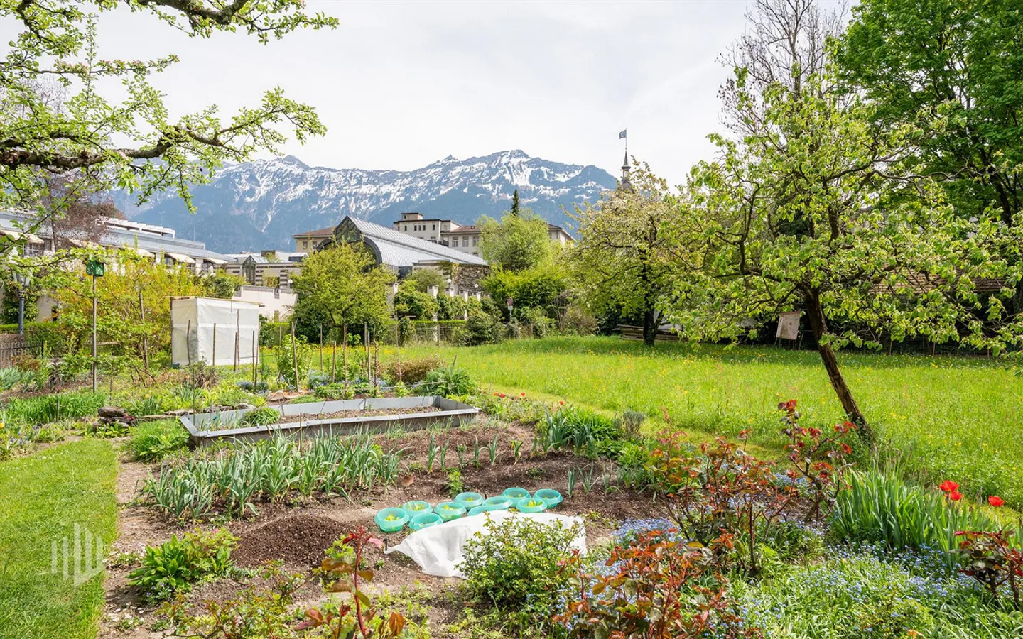 ImmoWyss - Building plot in hotel zone HC with separate 2-family house - Photo 10 of 12
