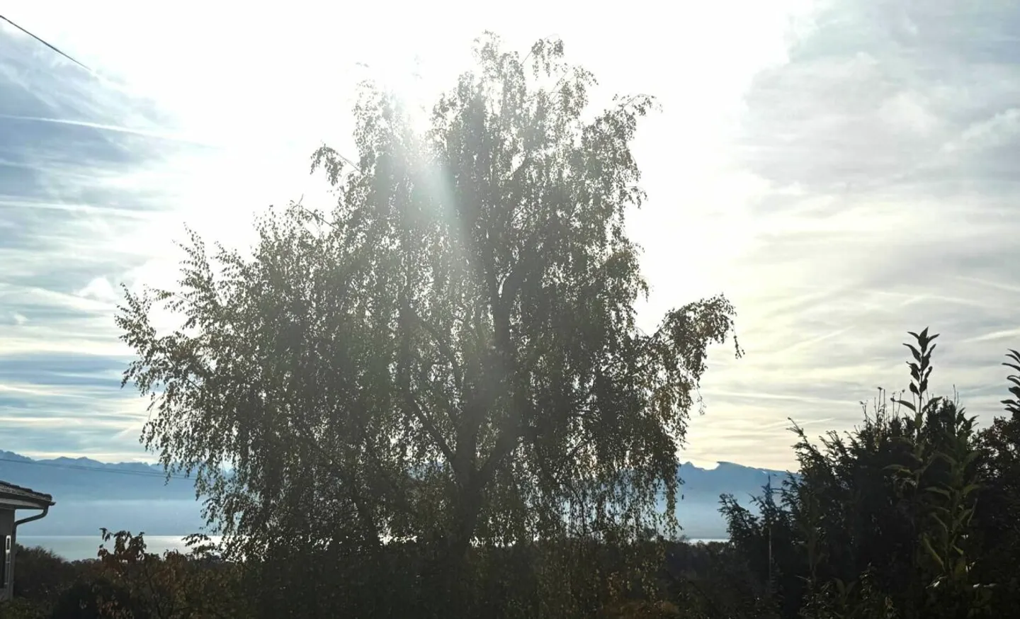 Bella Villa con Giardino Privato - Foto 6 di 8