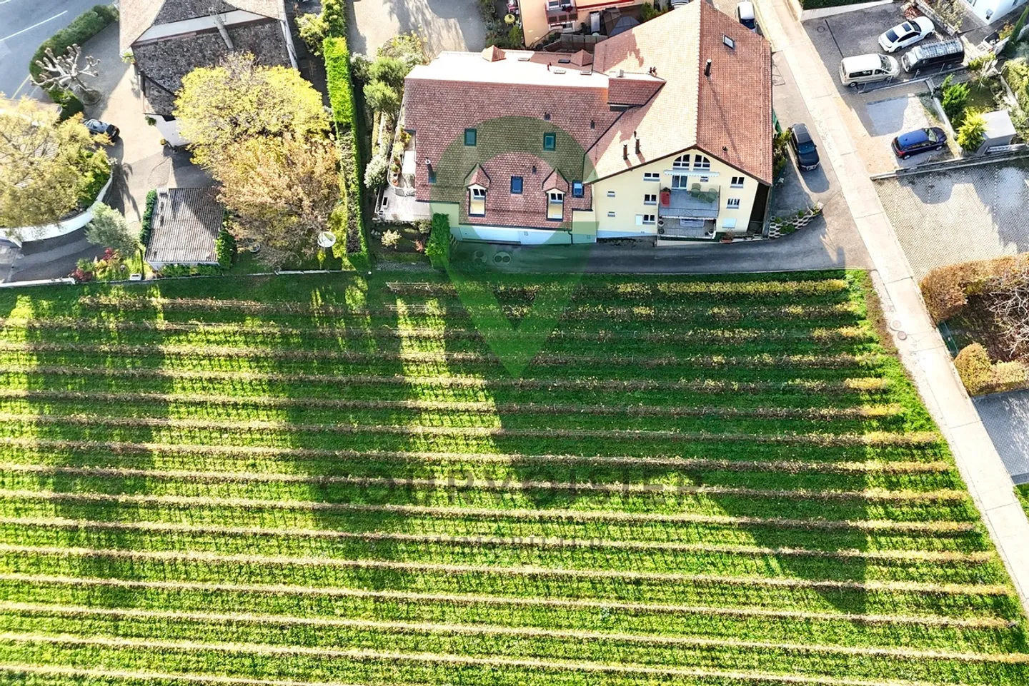 Magnificent renovated penthouse with a view of the vineyards and the lake - Photo 10 of 11