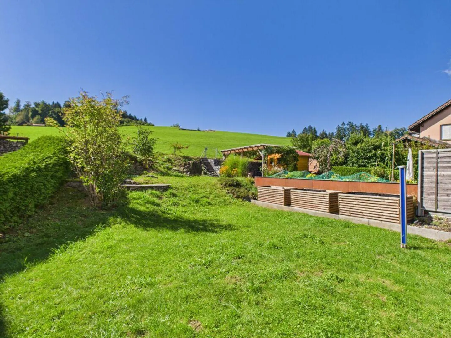 Familienglück im Grünen - Foto 17 von 27