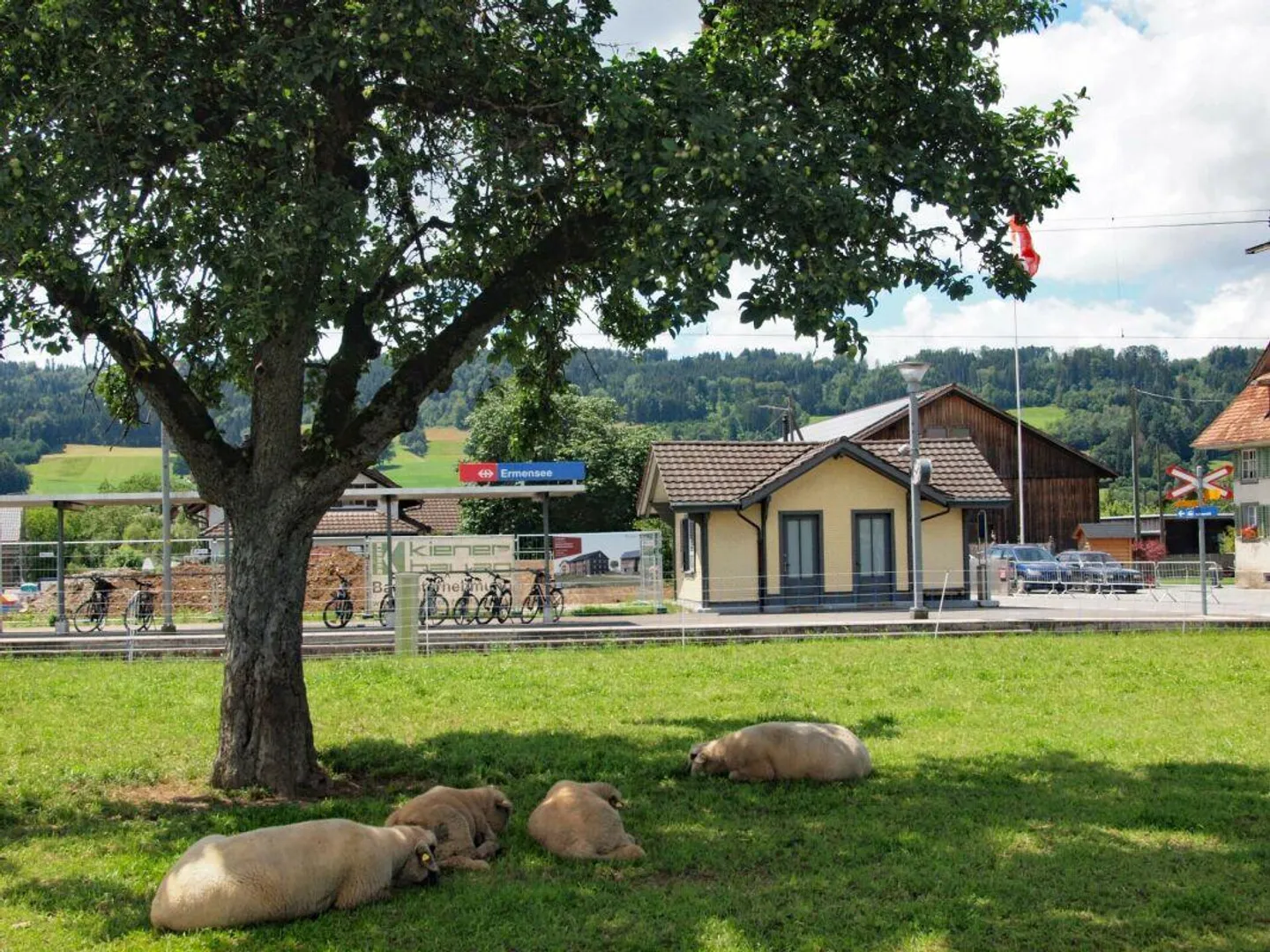 Casa a schiera 7.5 stanze C2 - Foto 5 di 15