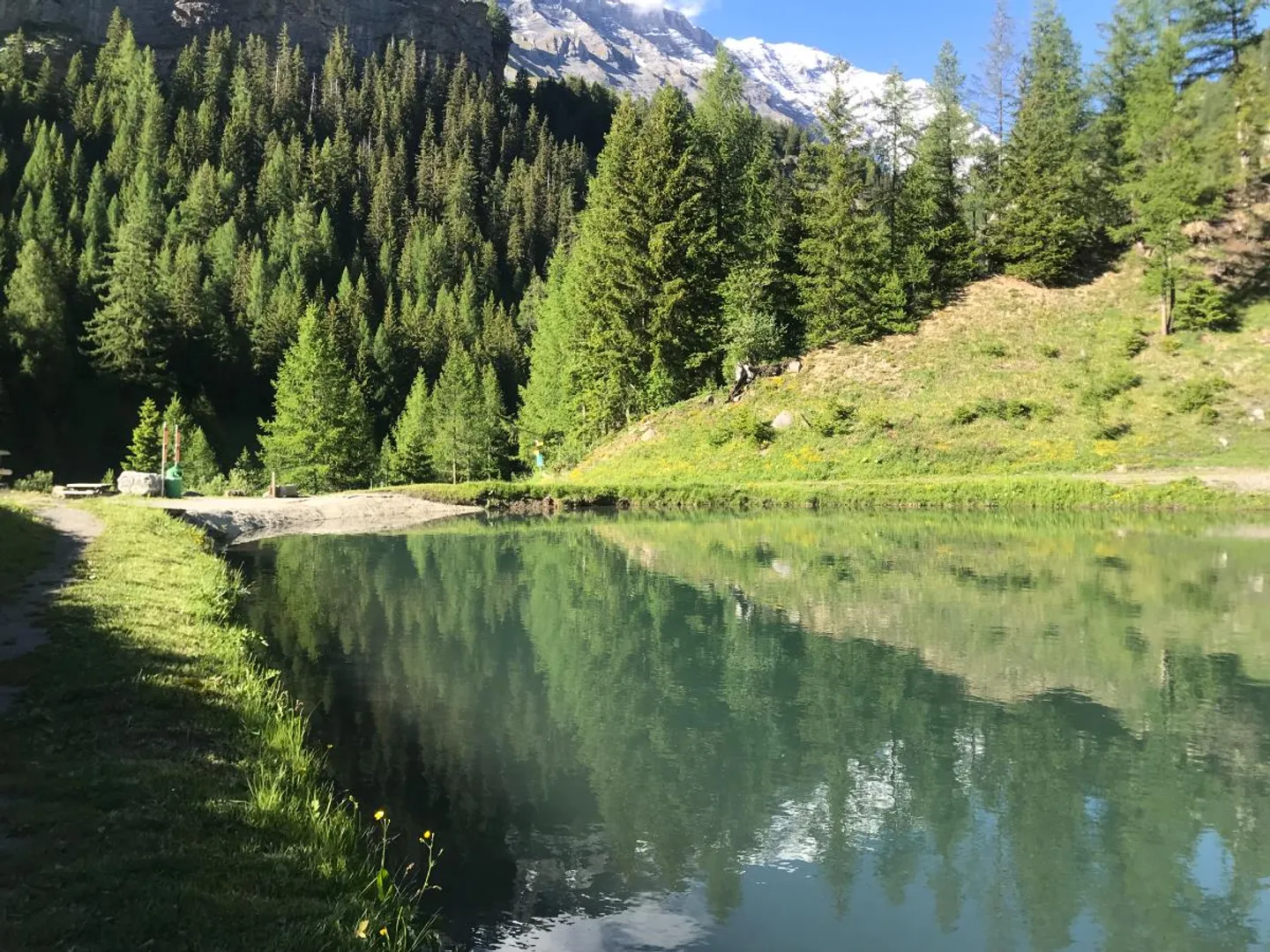 2.5-20, appartamento esclusivo di 2.5 stanze di alta qualità con grande balcone sud - Foto 3 di 4