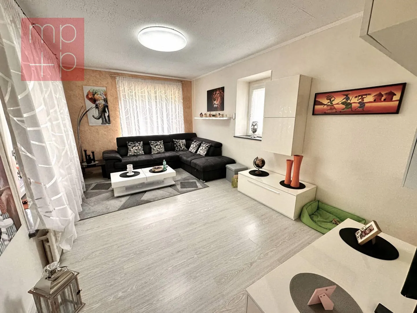 Single Family House - Monteggio - Photo 6 of 8