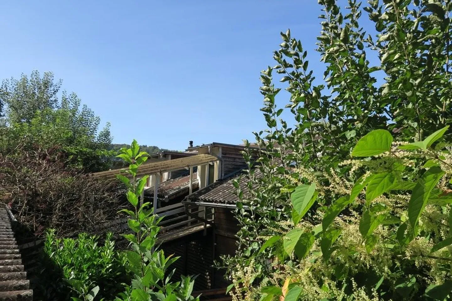 Nel verde eppure così centrale! - Foto 1 di 7