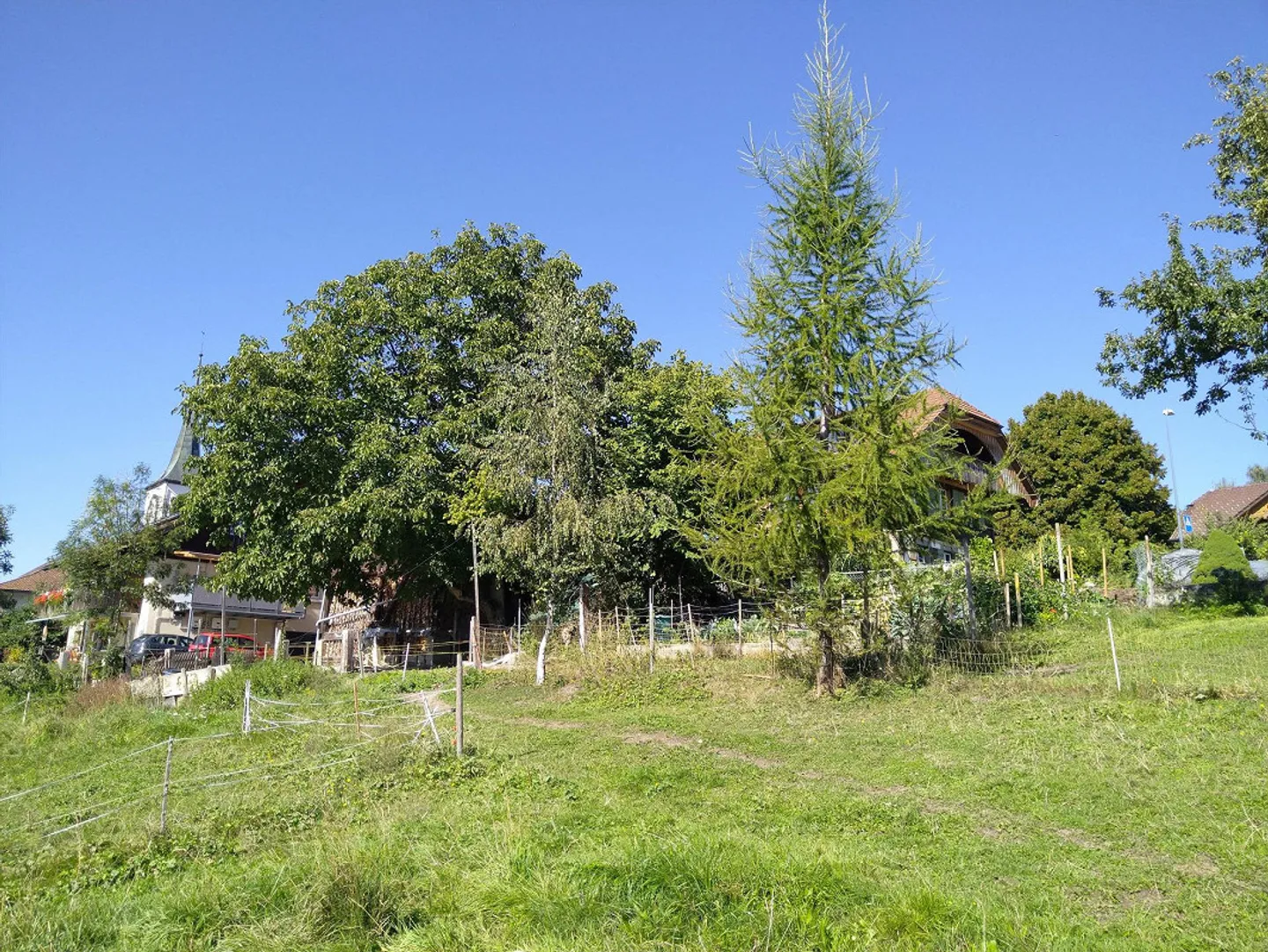 Building Permit Project with Small Living Forms - Photo 3 of 5