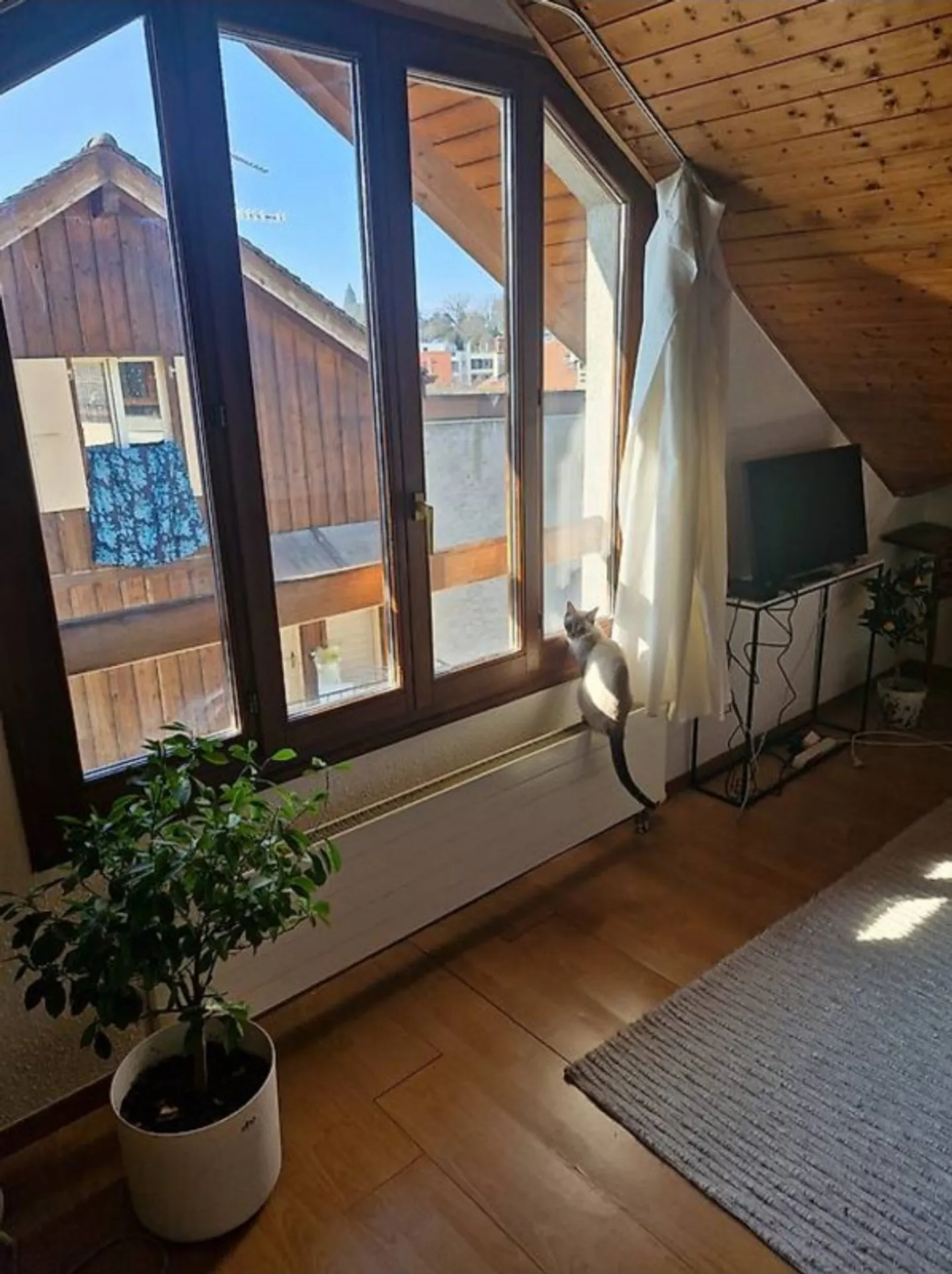 Appartement Charmant au Calme - Photo 2 sur 4