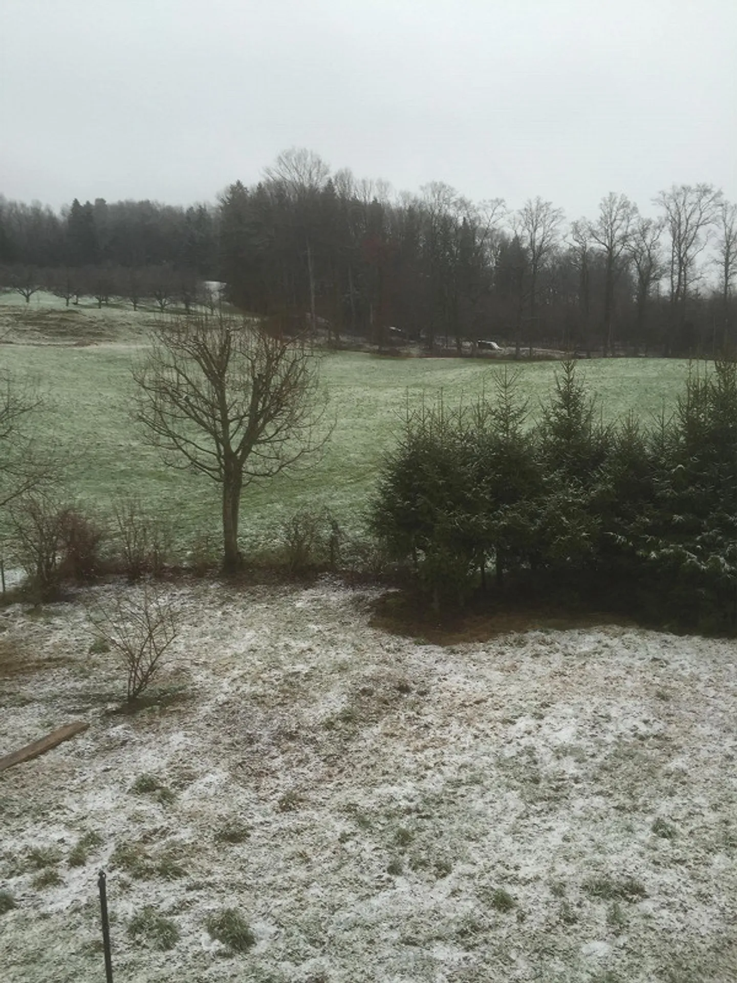 Sogno di casa con terrazza e giardino - Foto 12 di 17