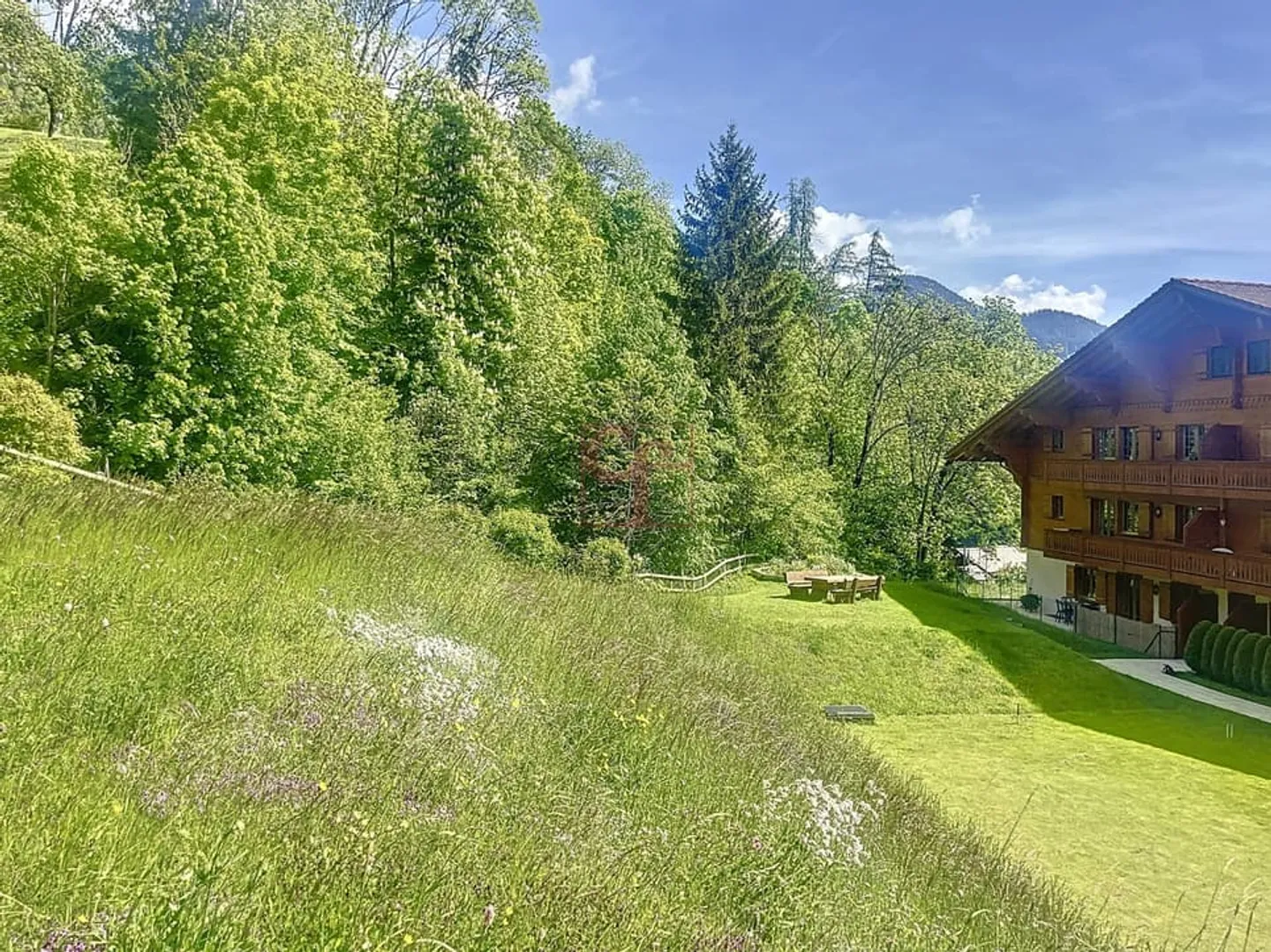 Château-d'Oex - Carino appartamento con 2 stanze al piano giardino con grande terrazza - Foto 10 di 13