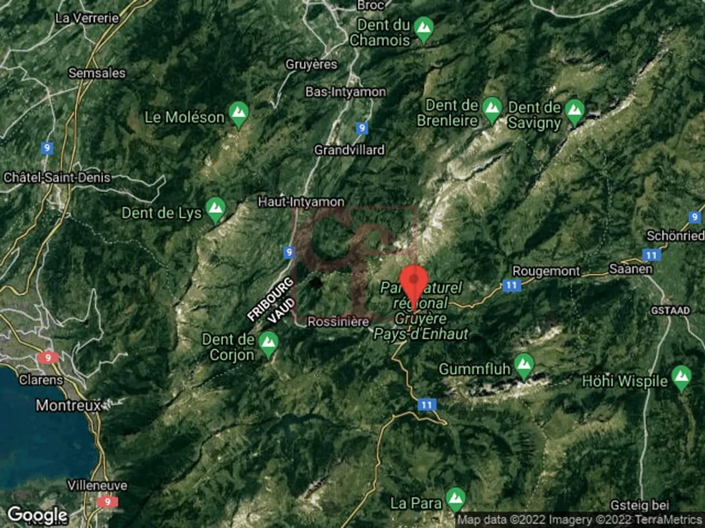 Château-d'Oex - Carino appartamento con 2 stanze al piano giardino con grande terrazza - Foto 12 di 13