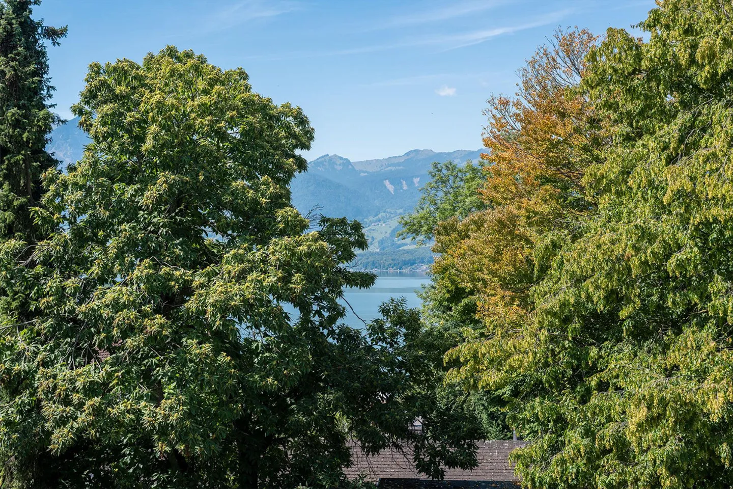 Appartamento esclusivo di 5,5 stanze con vista lago e accesso diretto all'ascensore - Foto 4 di 15