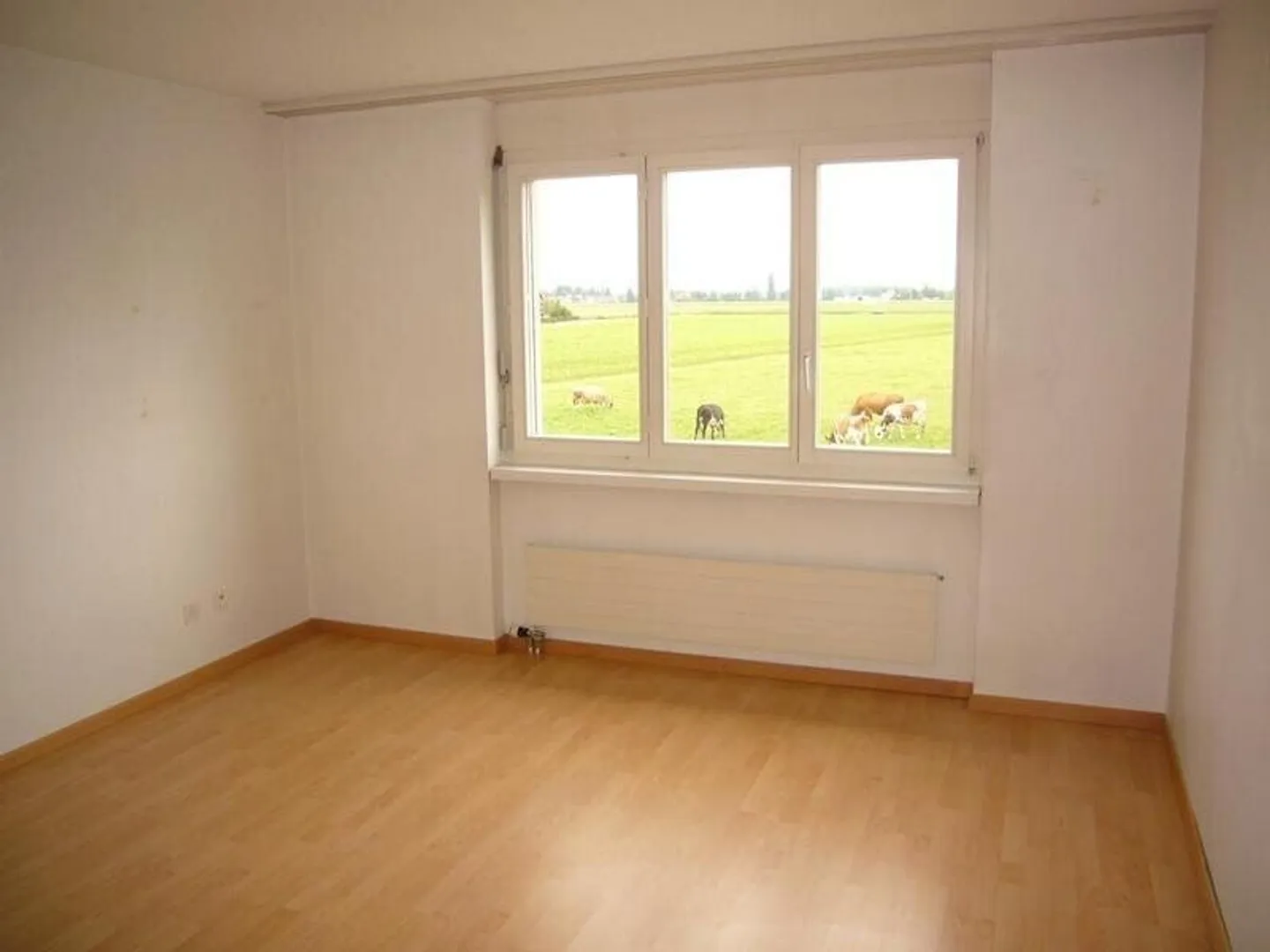 Appartamento 3.5 locali con vista sul verde - Foto 4 di 8