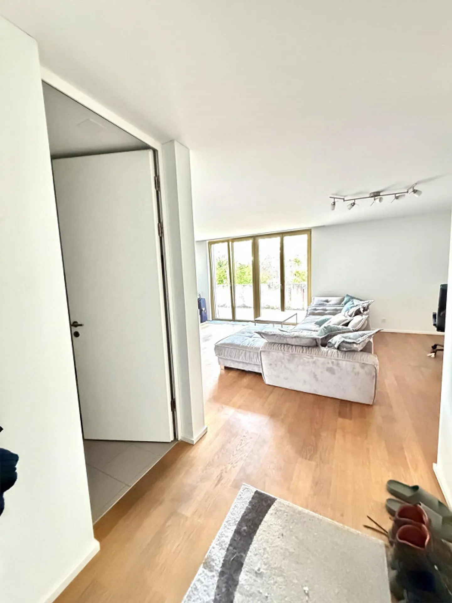 Ottimo appartamento di 3,5 stanze cercasi? - Foto 4 di 8