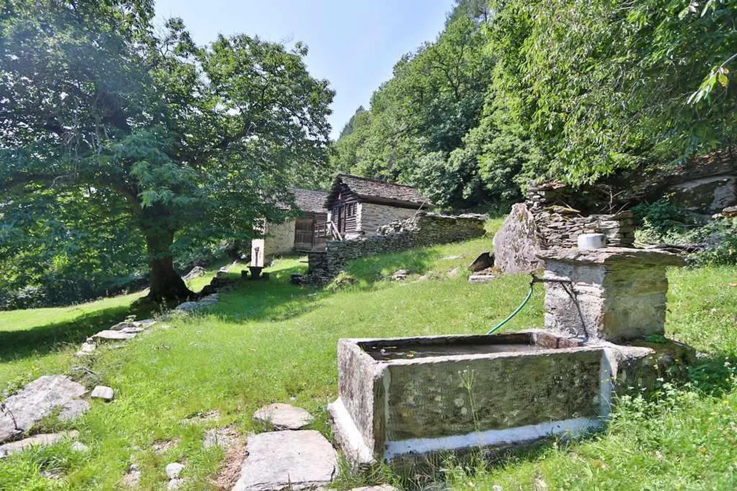 2 rustici da ristrutturare con tanto terreno - Foto 6 di 13