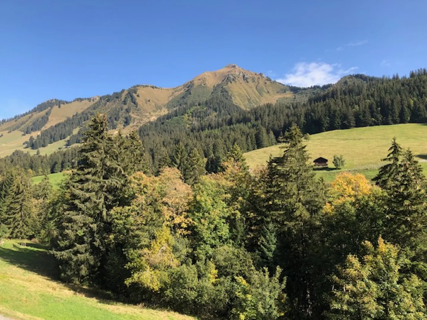 Casa 5.5 stanze - Foto 2 di 17