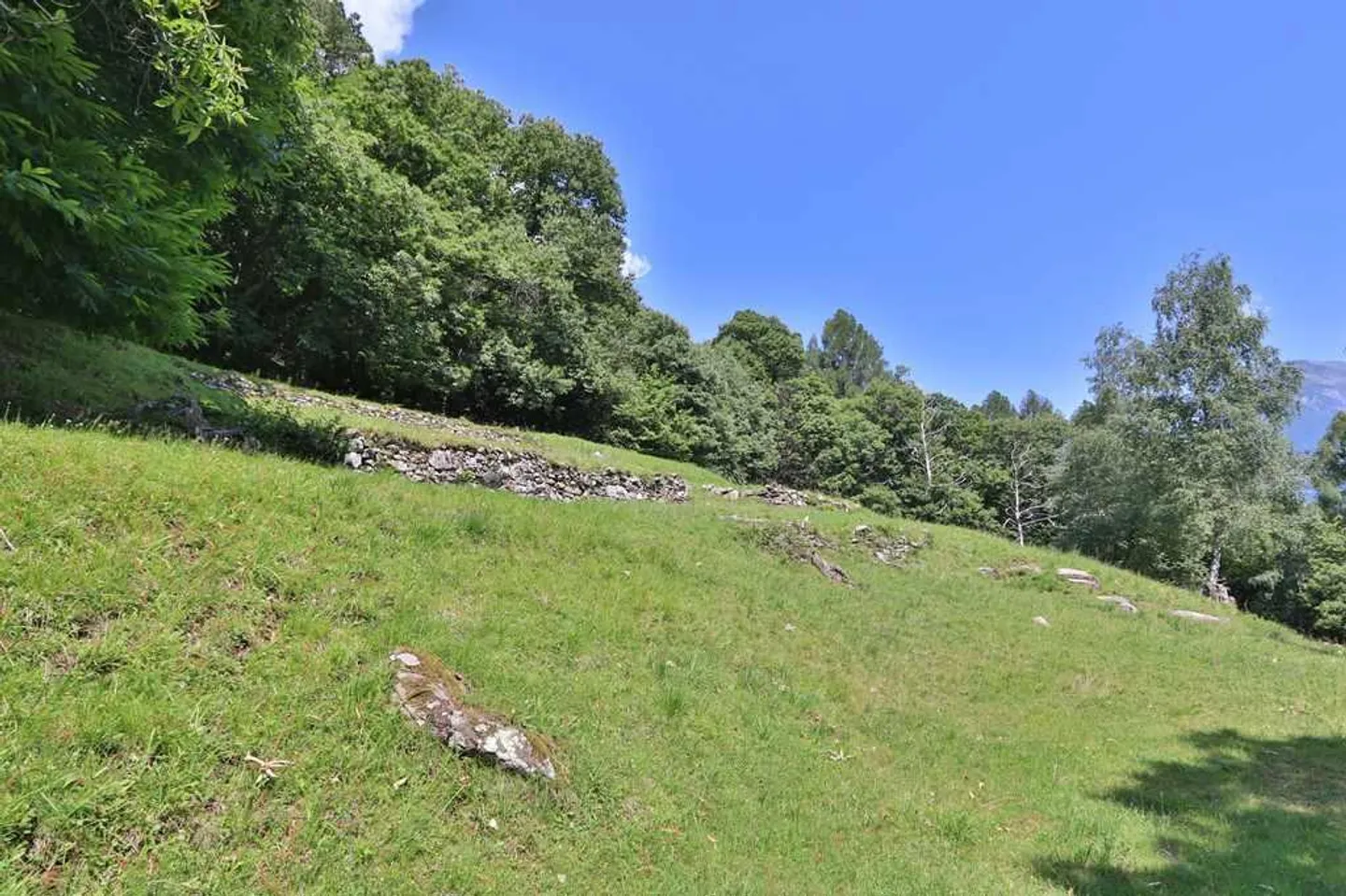 2 rustici da ristrutturare con tanto terreno - Foto 7 di 13