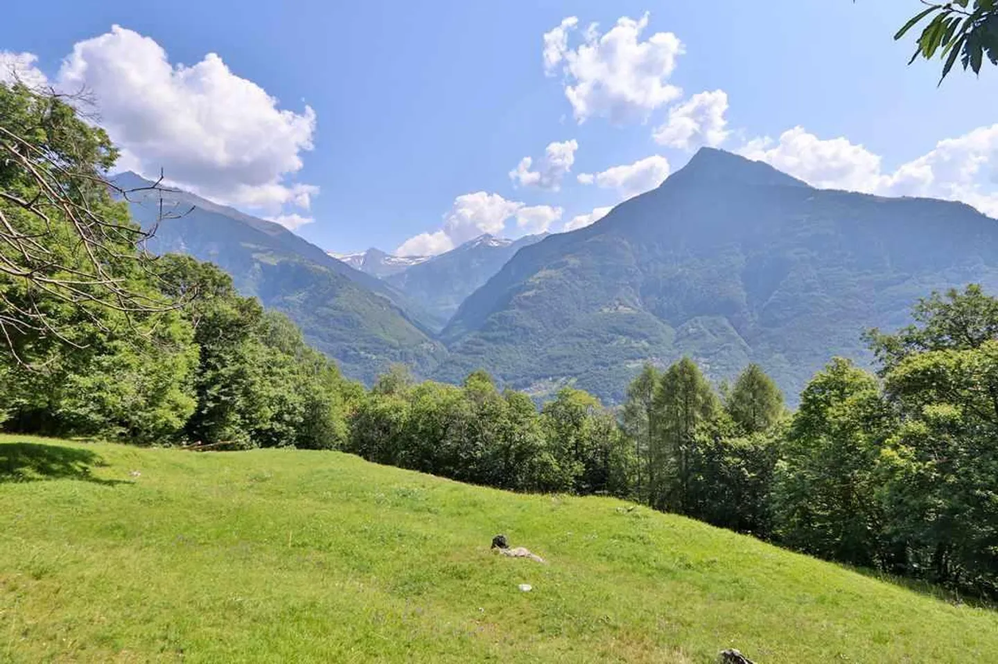 2 rustici da ristrutturare con tanto terreno - Foto 5 di 13