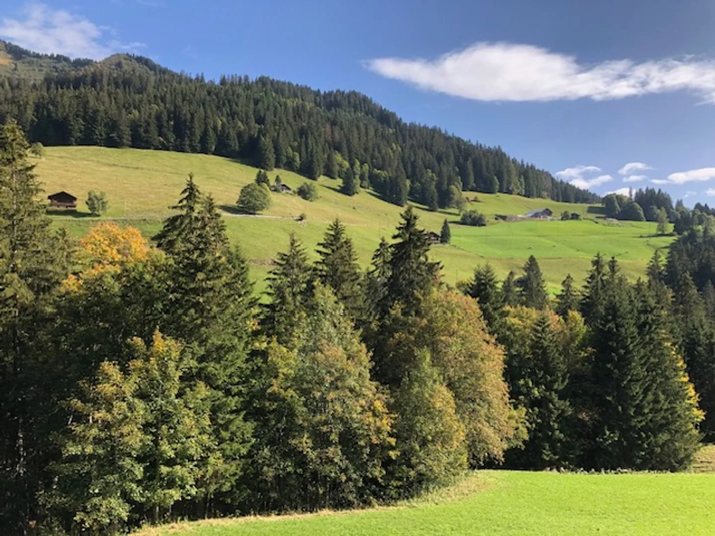 Casa 5.5 stanze - Foto 3 di 17
