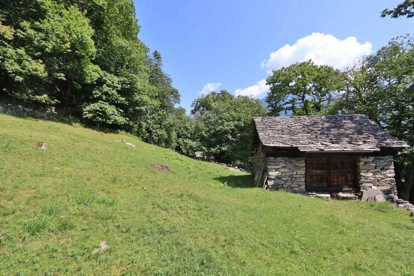 2 rustici da ristrutturare con tanto terreno - Foto 10 di 13