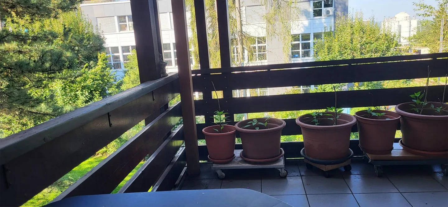 Großzügige 5 1/2 Zimmerwohnung mit Balkon inkl.Garagenplatz - Foto 2 von 16
