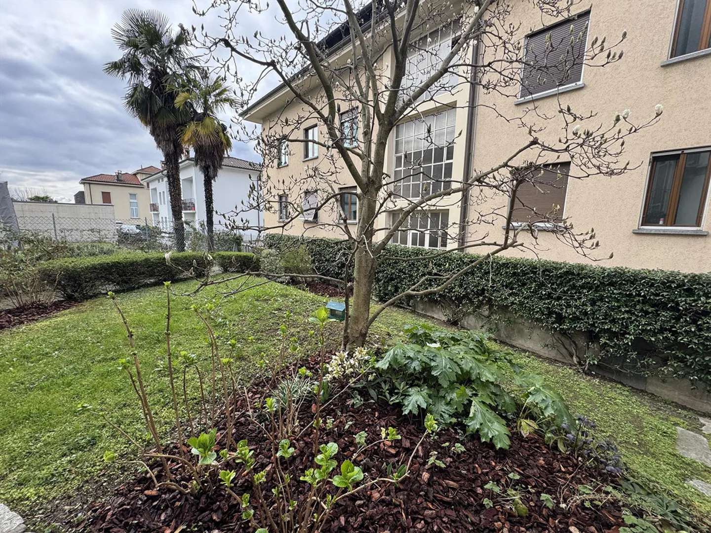 Mendrisio Centro – Appartamento elegante con giardino privato in villa storica - Foto 1 di 21