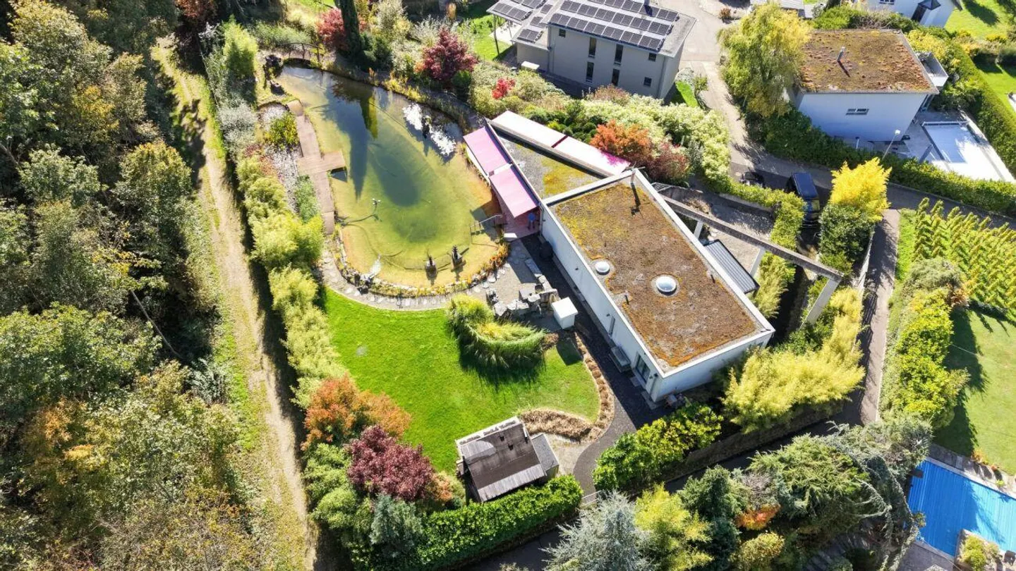 Esclusivo immobile di 5,5 stanze in posizione collinare elevata - Foto 3 di 13