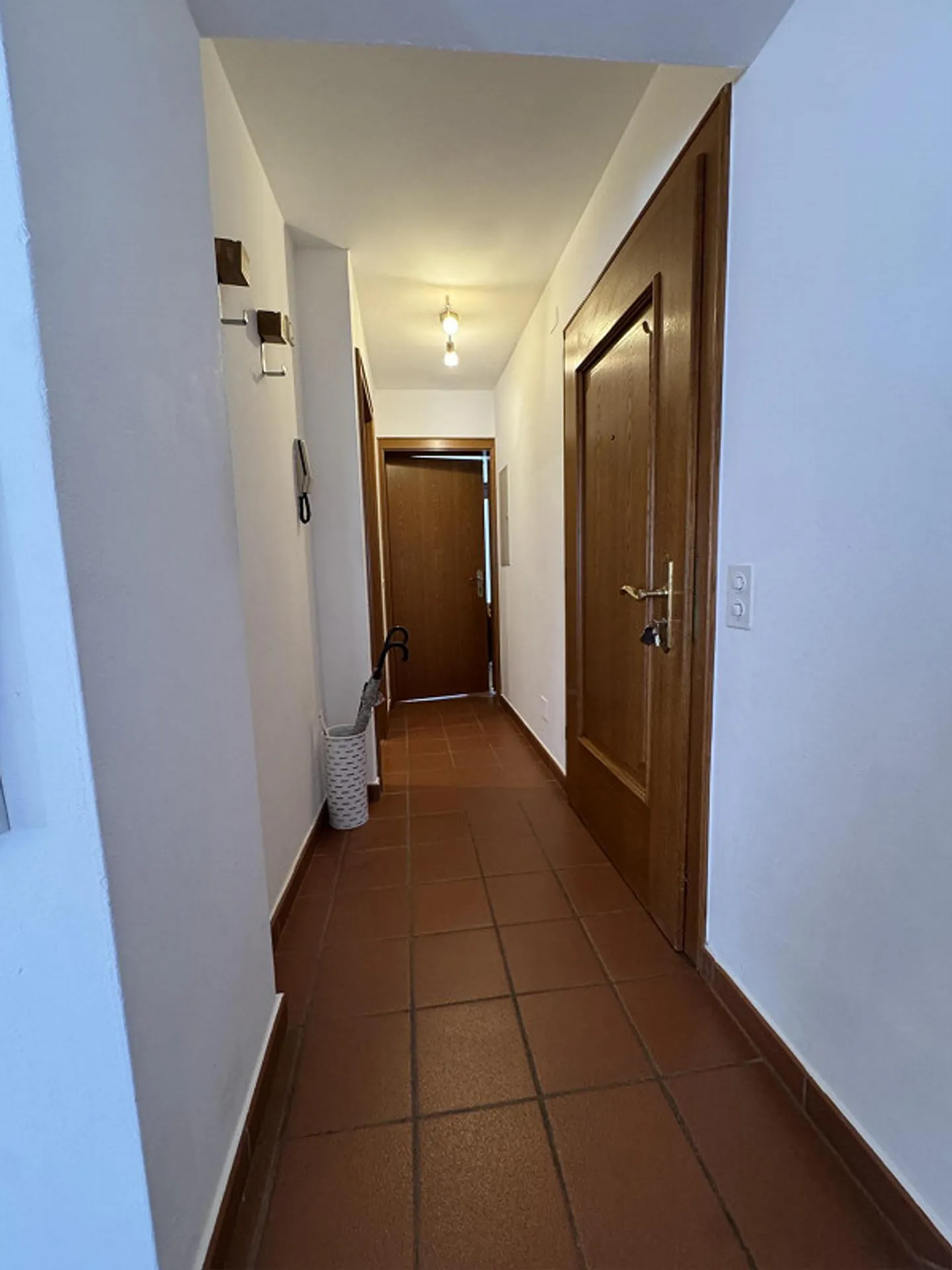 Fascinating 2.5-Room Apartment in the Heart of Vezia in a Historic House - Photo 11 of 23